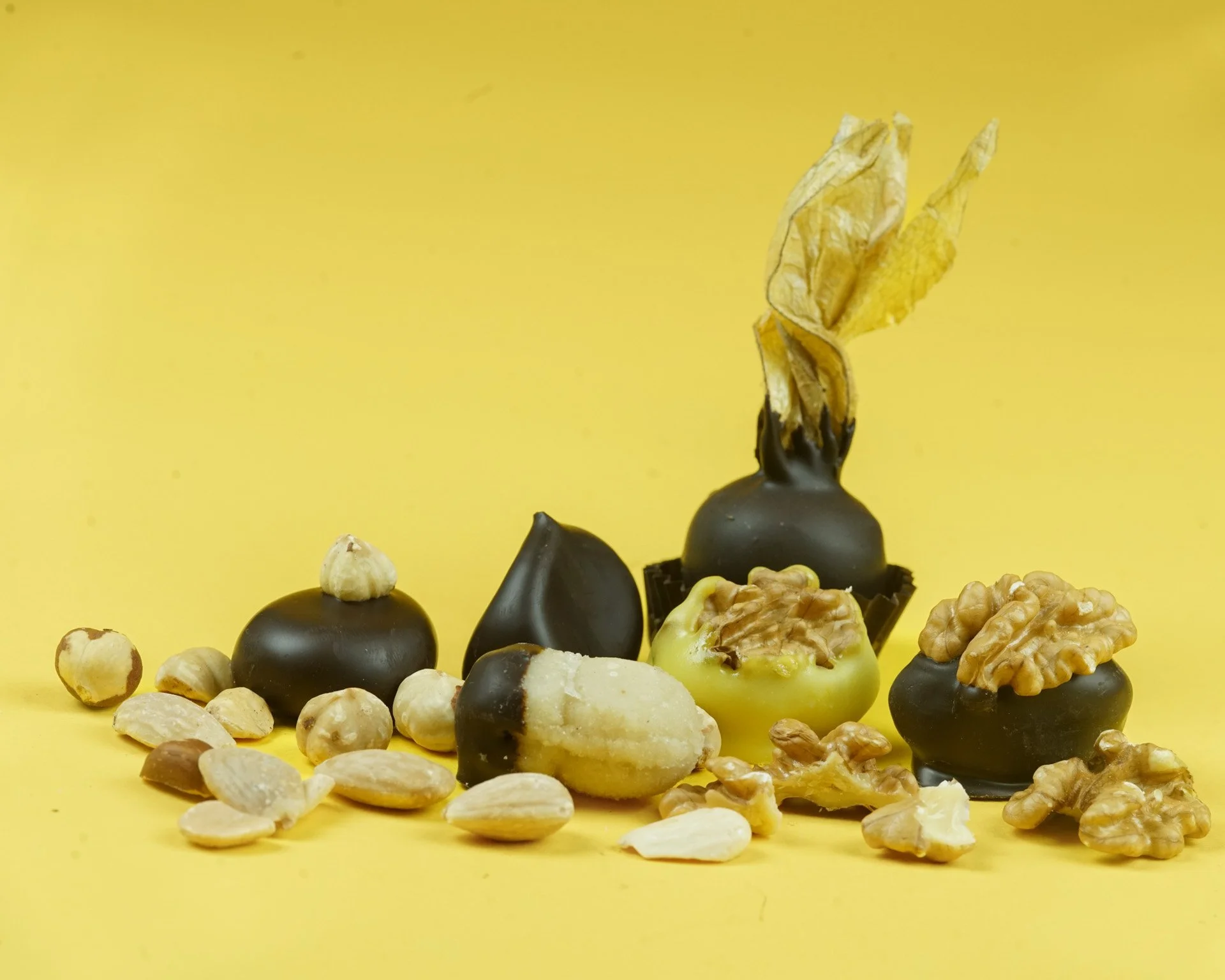 Galli_praline_cioccolato_fondente_pasta_marron_glace_mandorle_noci_nocciole_alchechengi_funghetti_castagna.JPG (Copy)