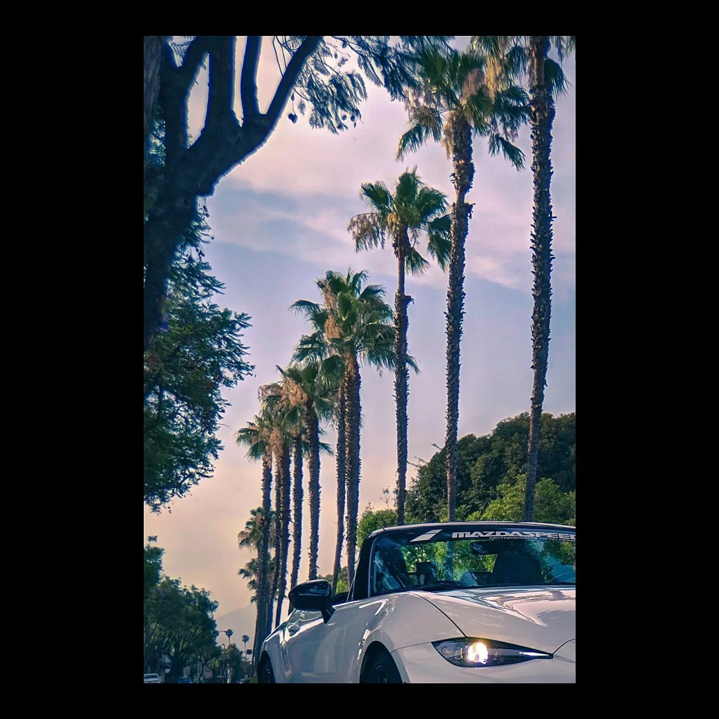 #mazda #miata #ndmiata #mazdamx5 #mazdaroadster #mx5  #miatalife #miataclub #miatagram #miatanation #miatagang #longlivetheroadster #miataisalwaystheanswer #roadsterlife #zoomzoom #topmiata

#becauseracecar #getoutanddrive #sportscar #carinstagram 

