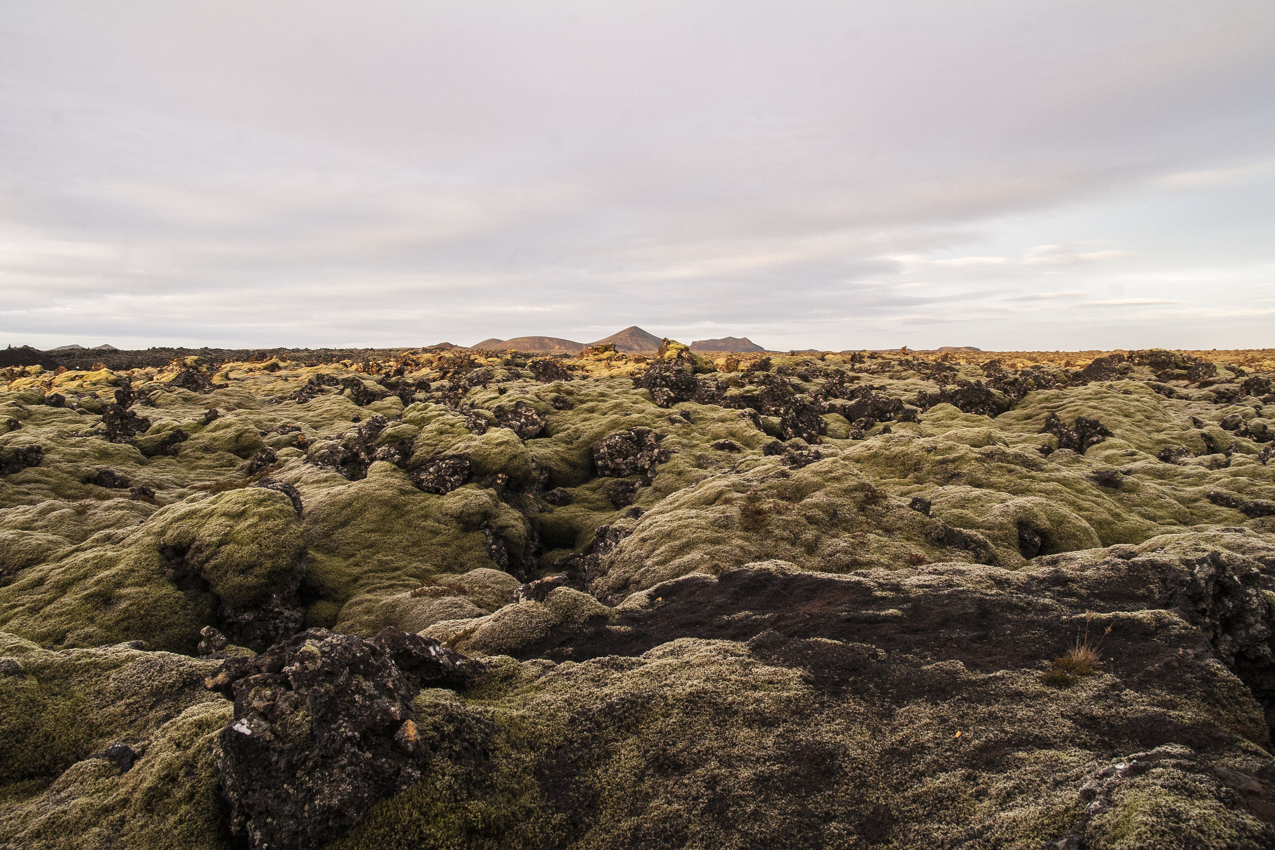 Lava Field, Grindavík, Iceland