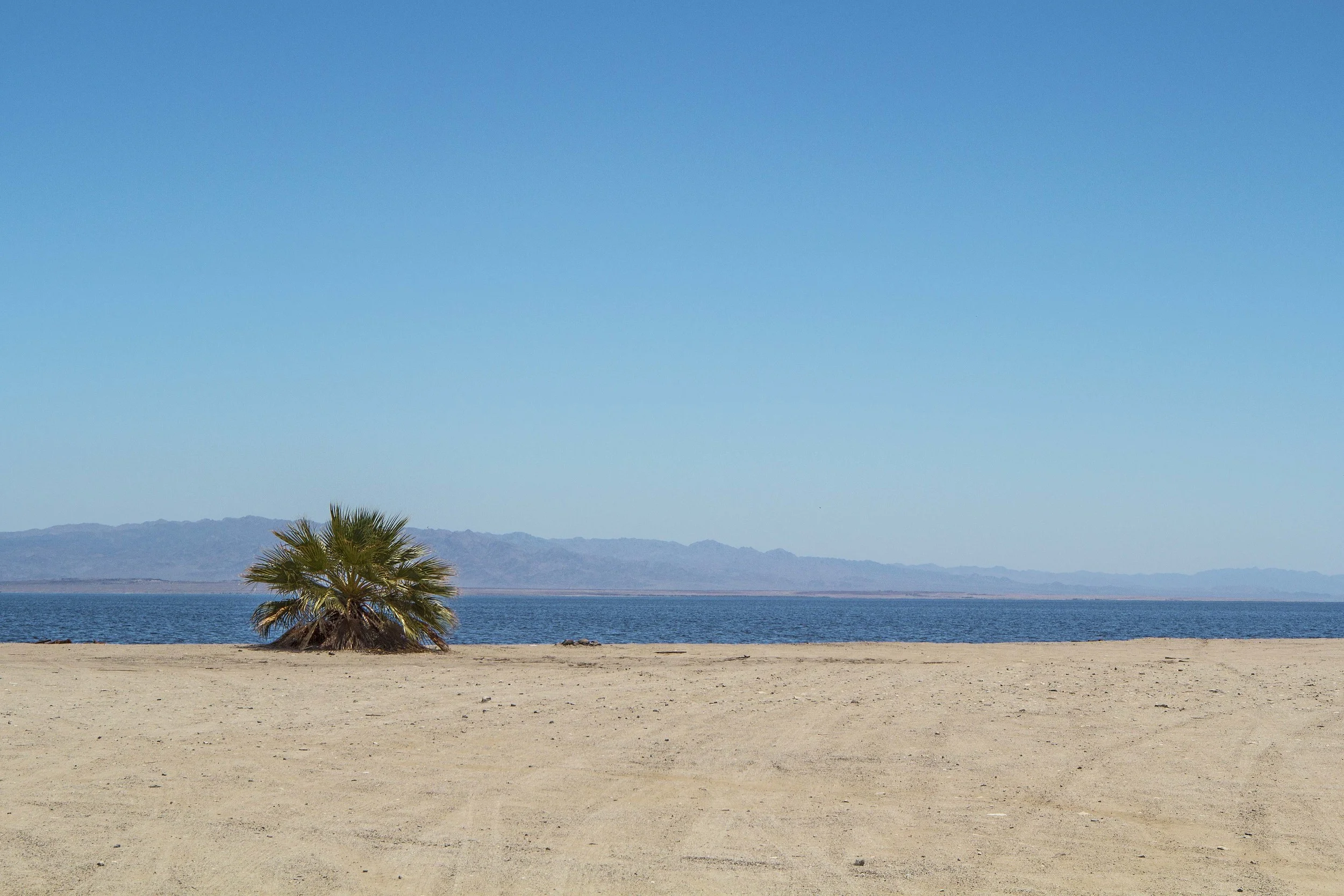 Salton Sea Beach, California