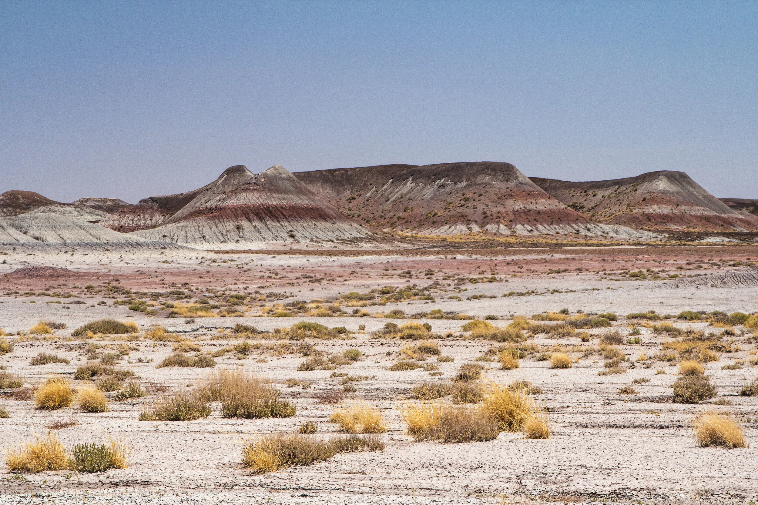 Petrified Forest National Park, Arizona