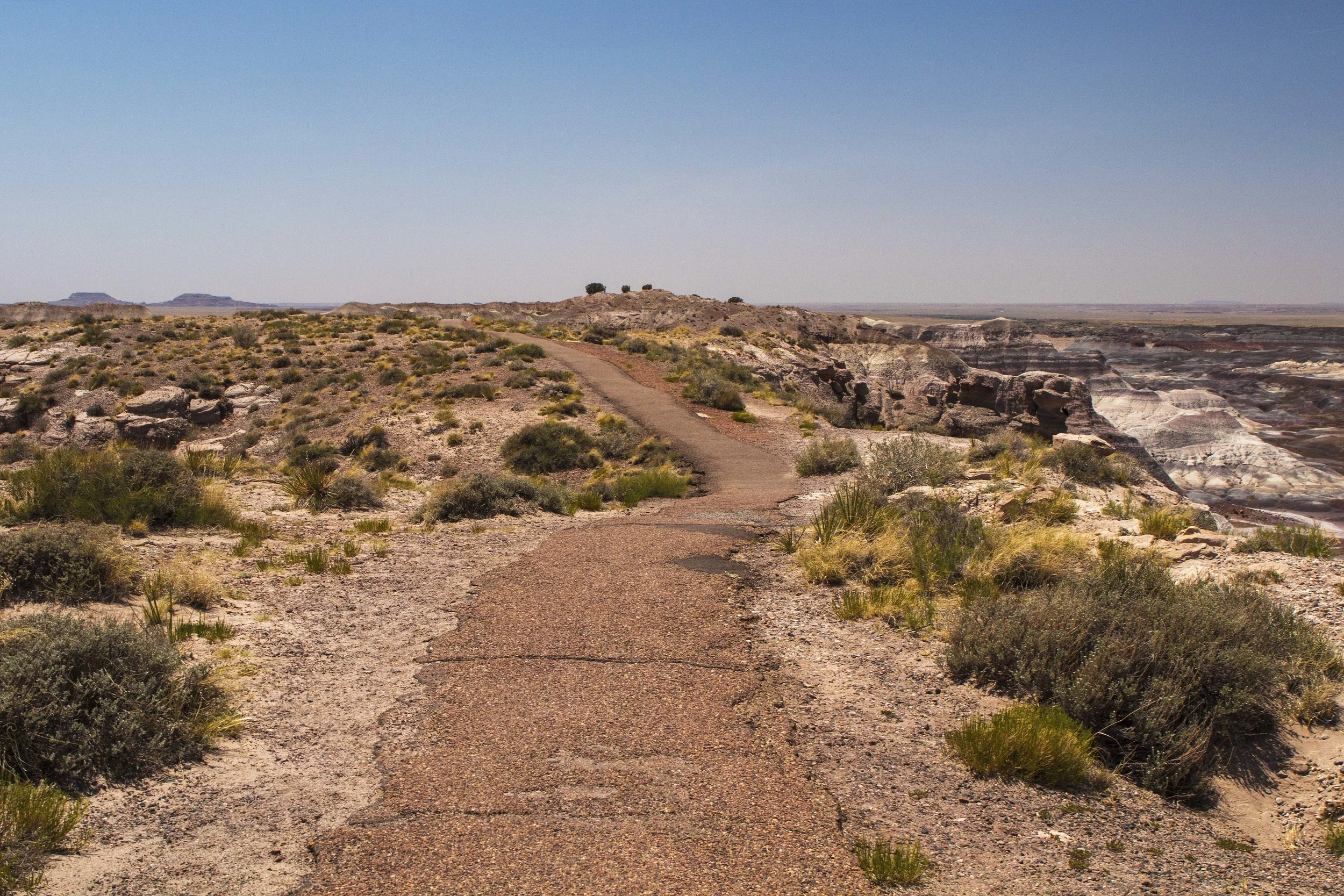 Blue Mesa Trail, Petrified Forest National Park, Arizona