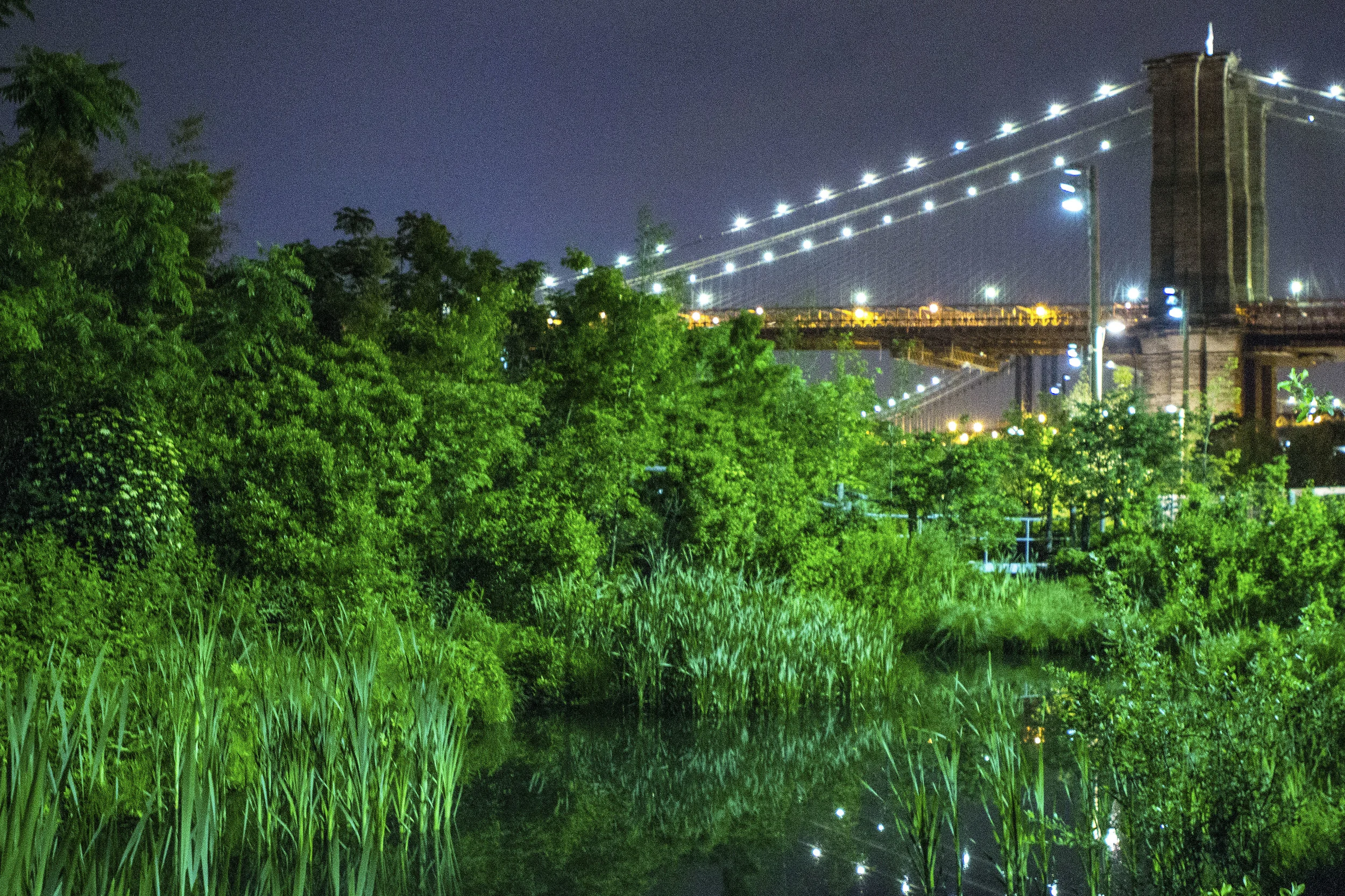 brooklyn_newpark_bridge_IMG_0584.jpg