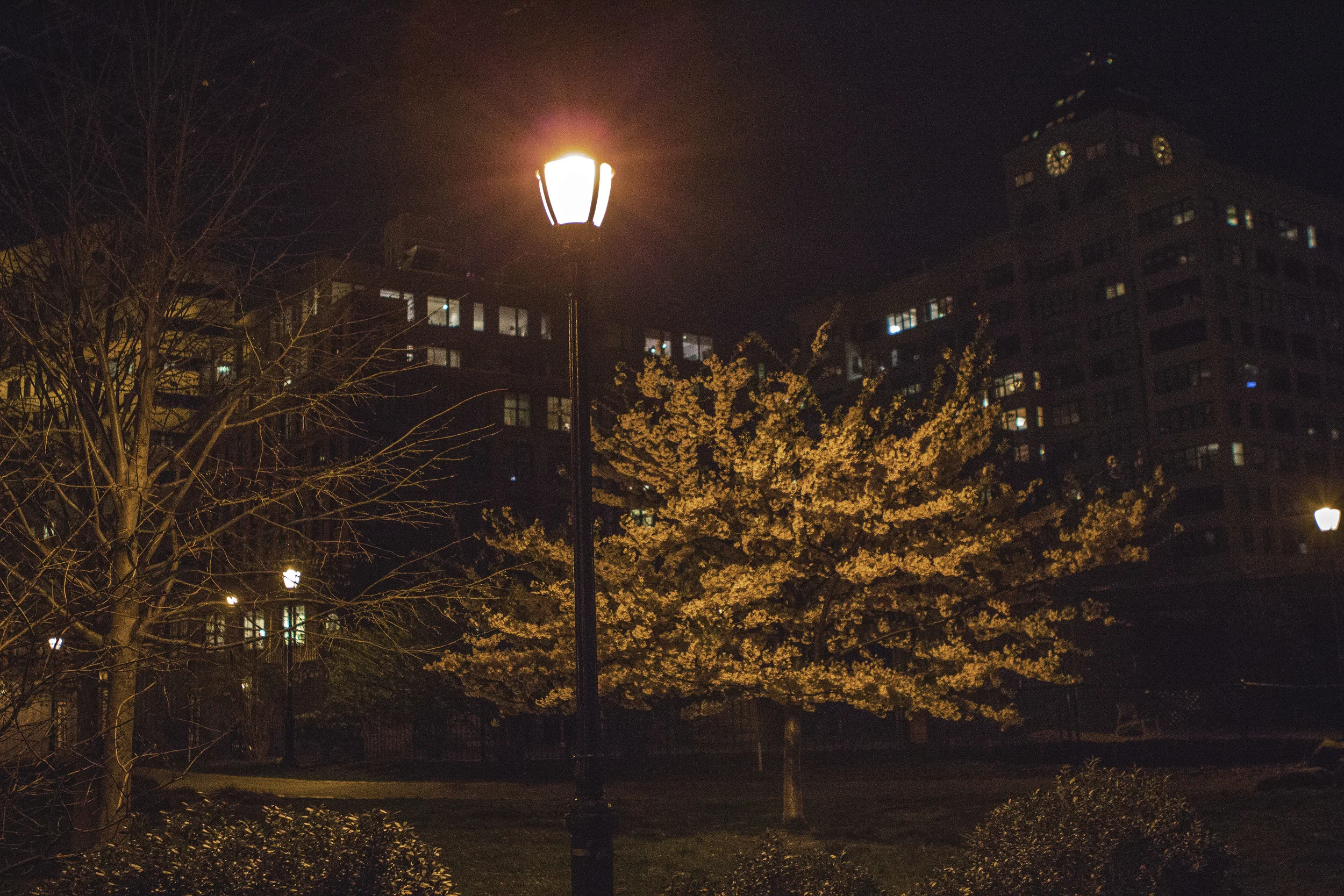 brooklyn_park_IMG_4968 2.jpg