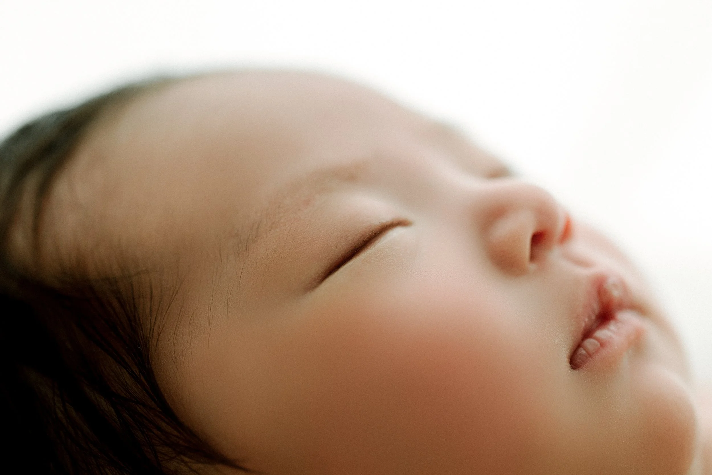 Newborn Photographer Seattle Washington