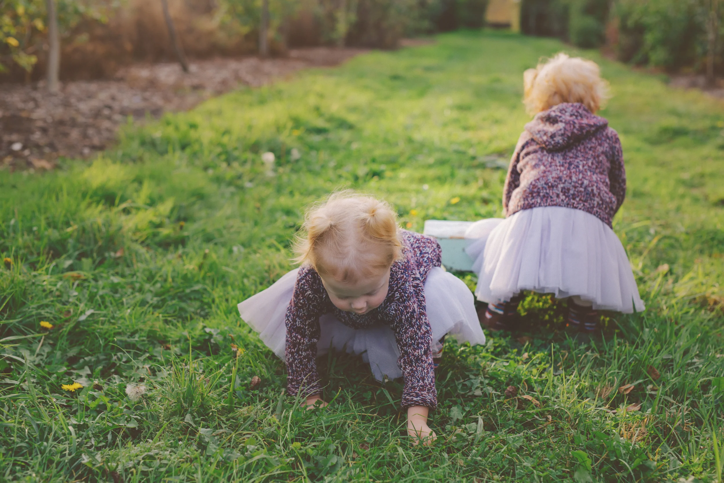 olive and audrey - twins <3