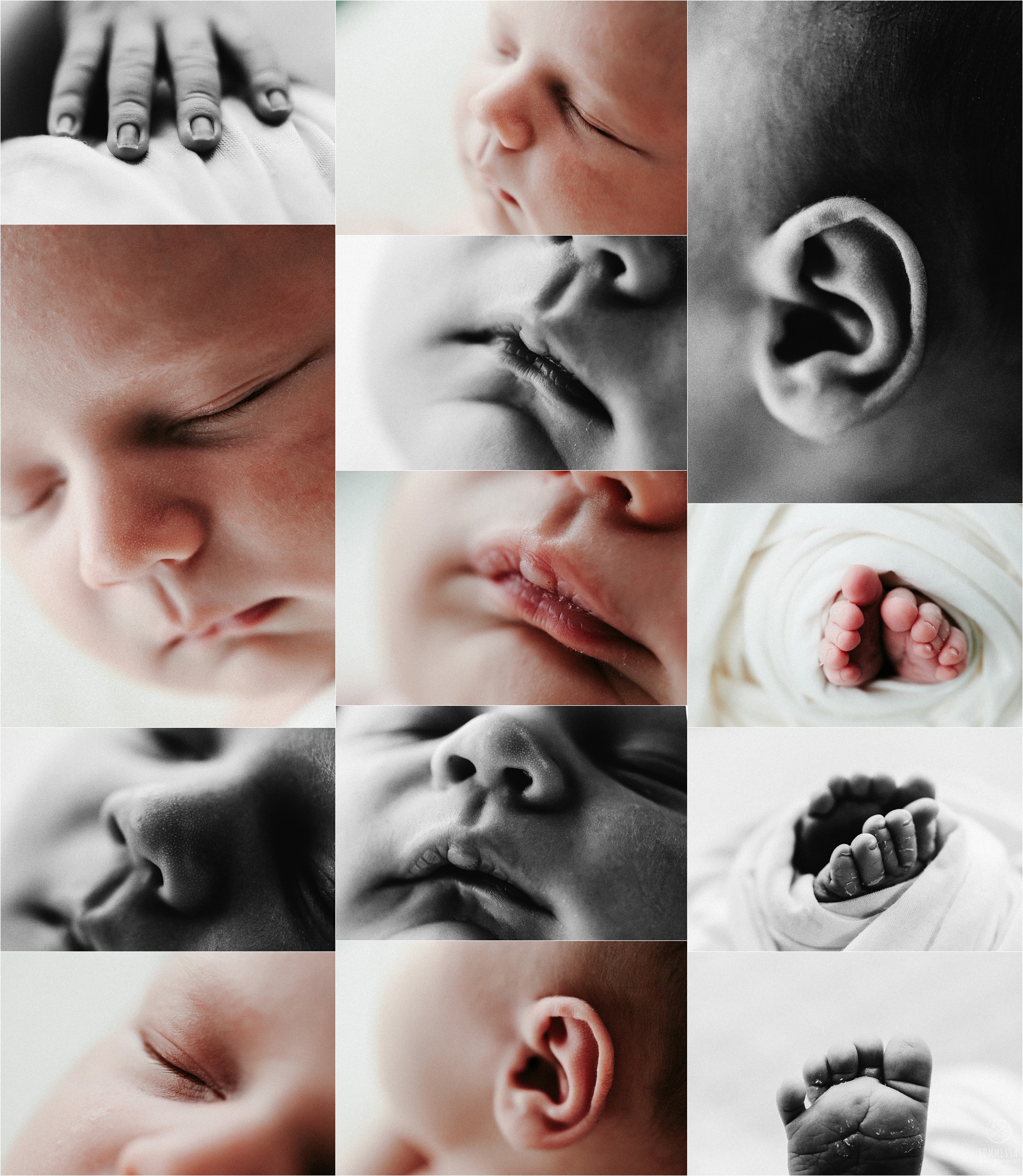 Sommessa Newborn Photography Portland Oregon_0731.jpg