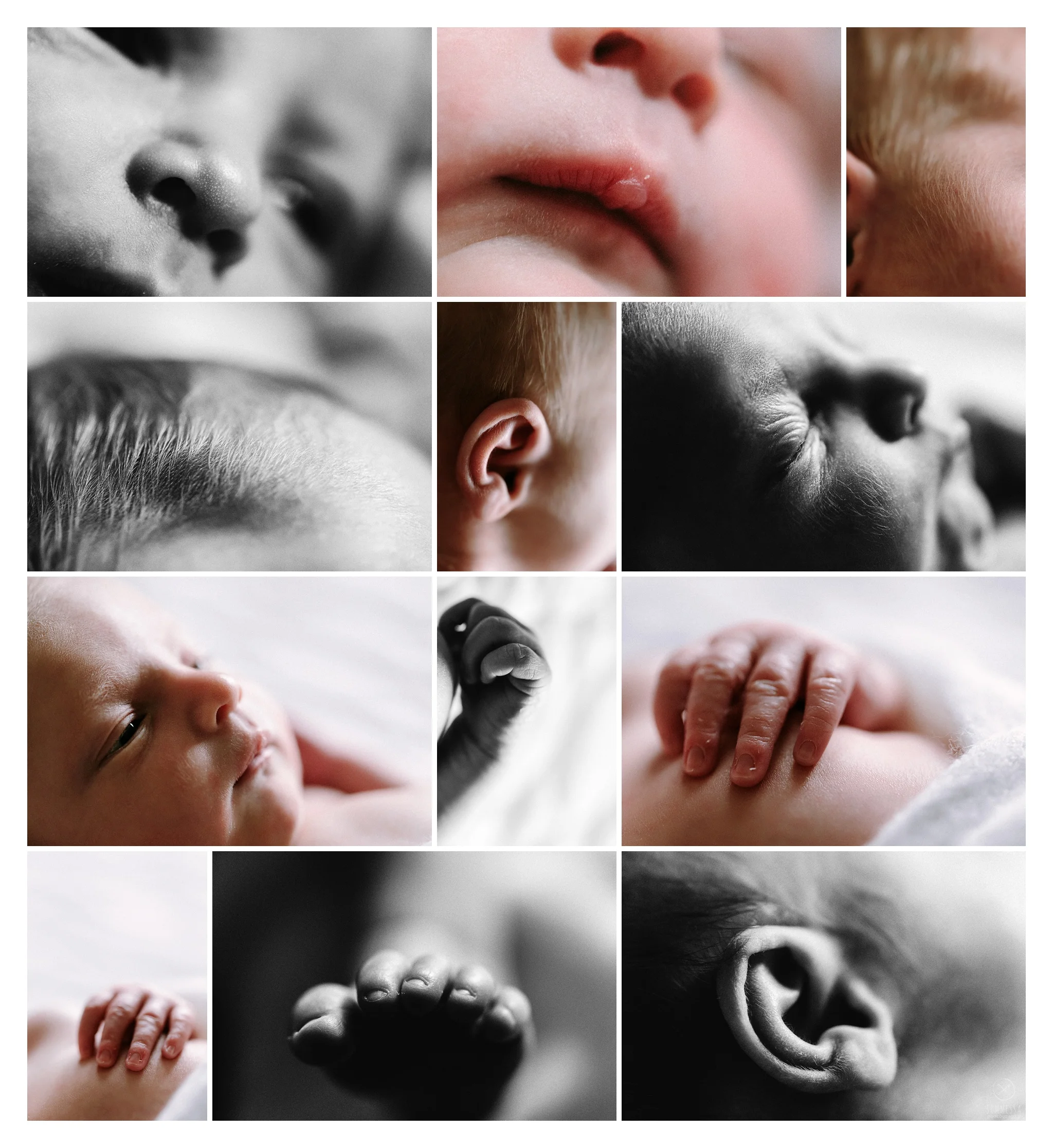 Newborn Photography Sommessa Portland Oregon_0772.jpg