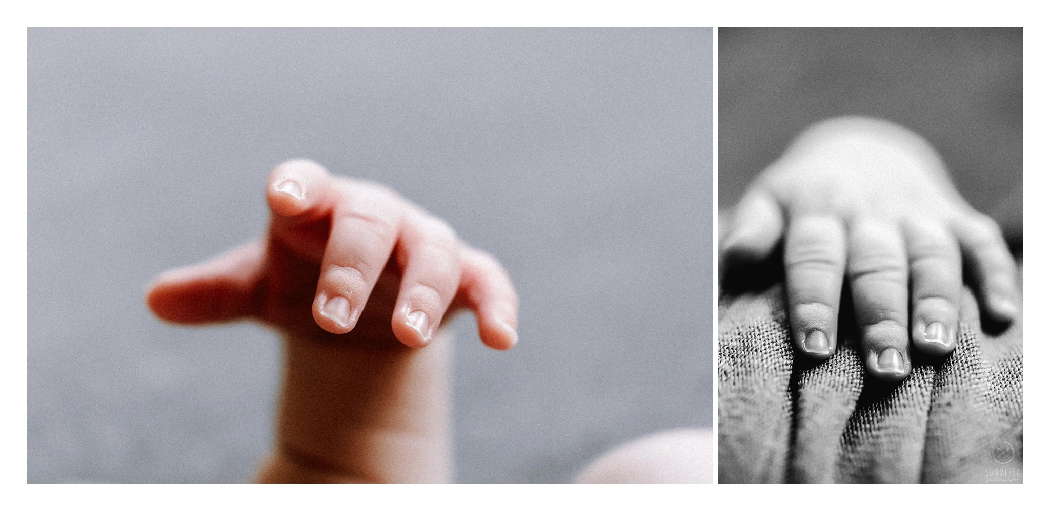 Newborn Photography Sommessa Portland Oregon_0855.jpg