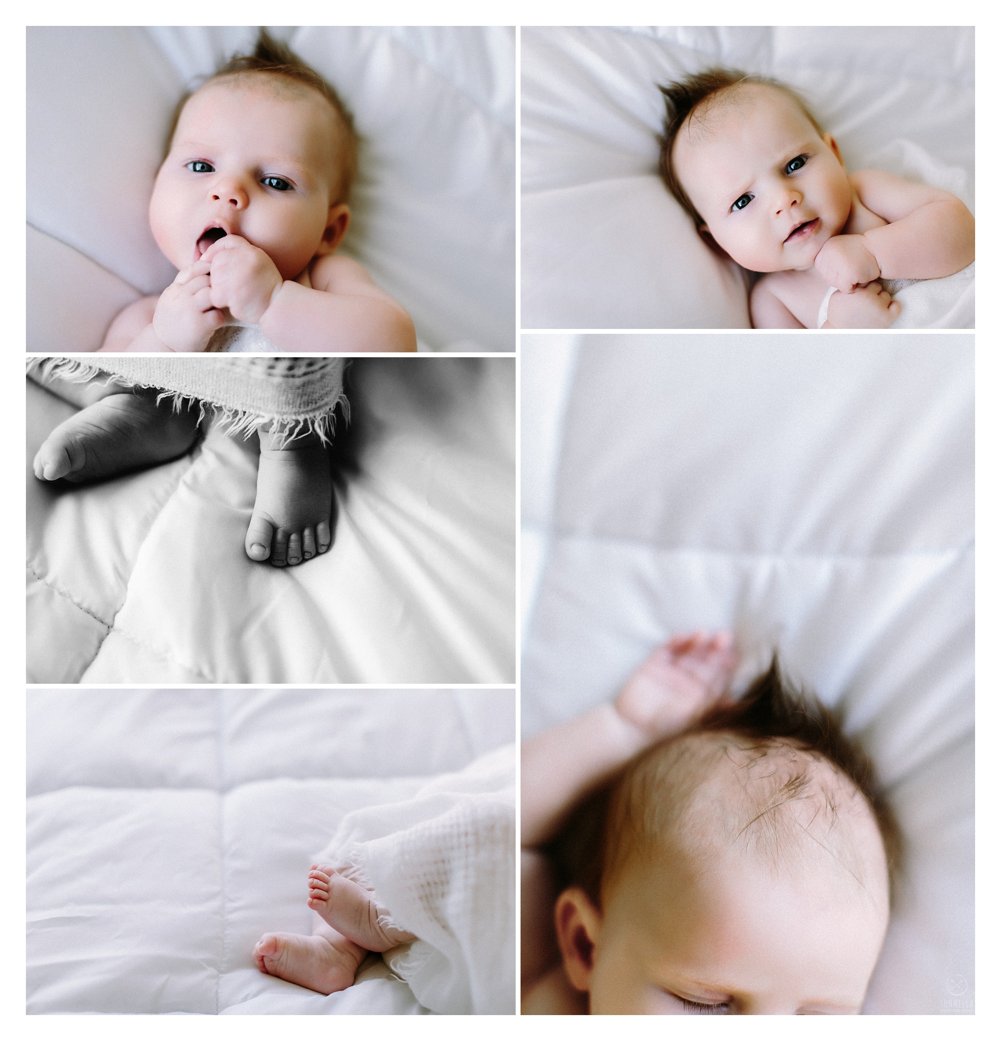 Newborn Photography Sommessa Portland Oregon_0869.jpg