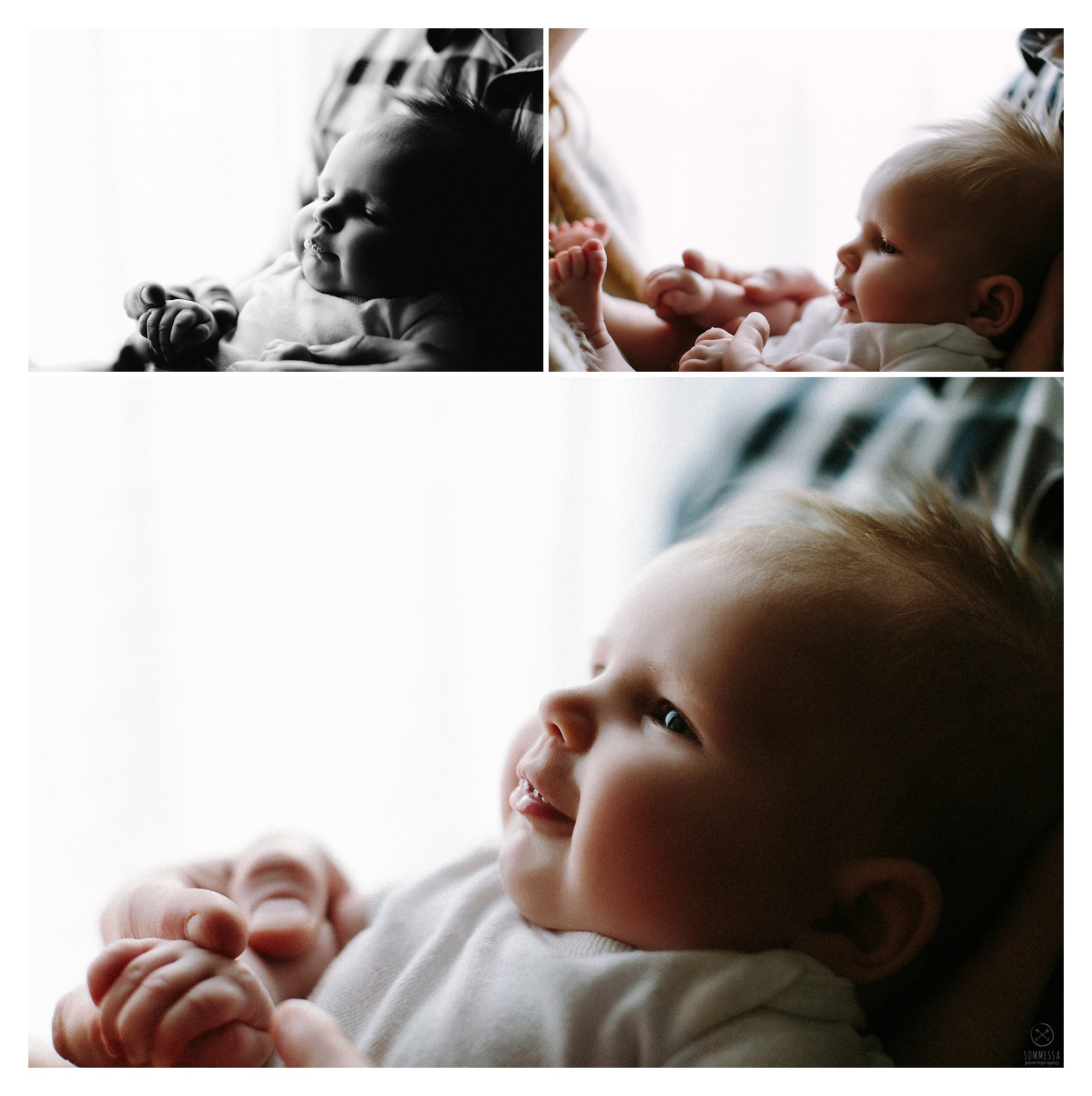 Newborn Photography Sommessa Portland Oregon_0874.jpg