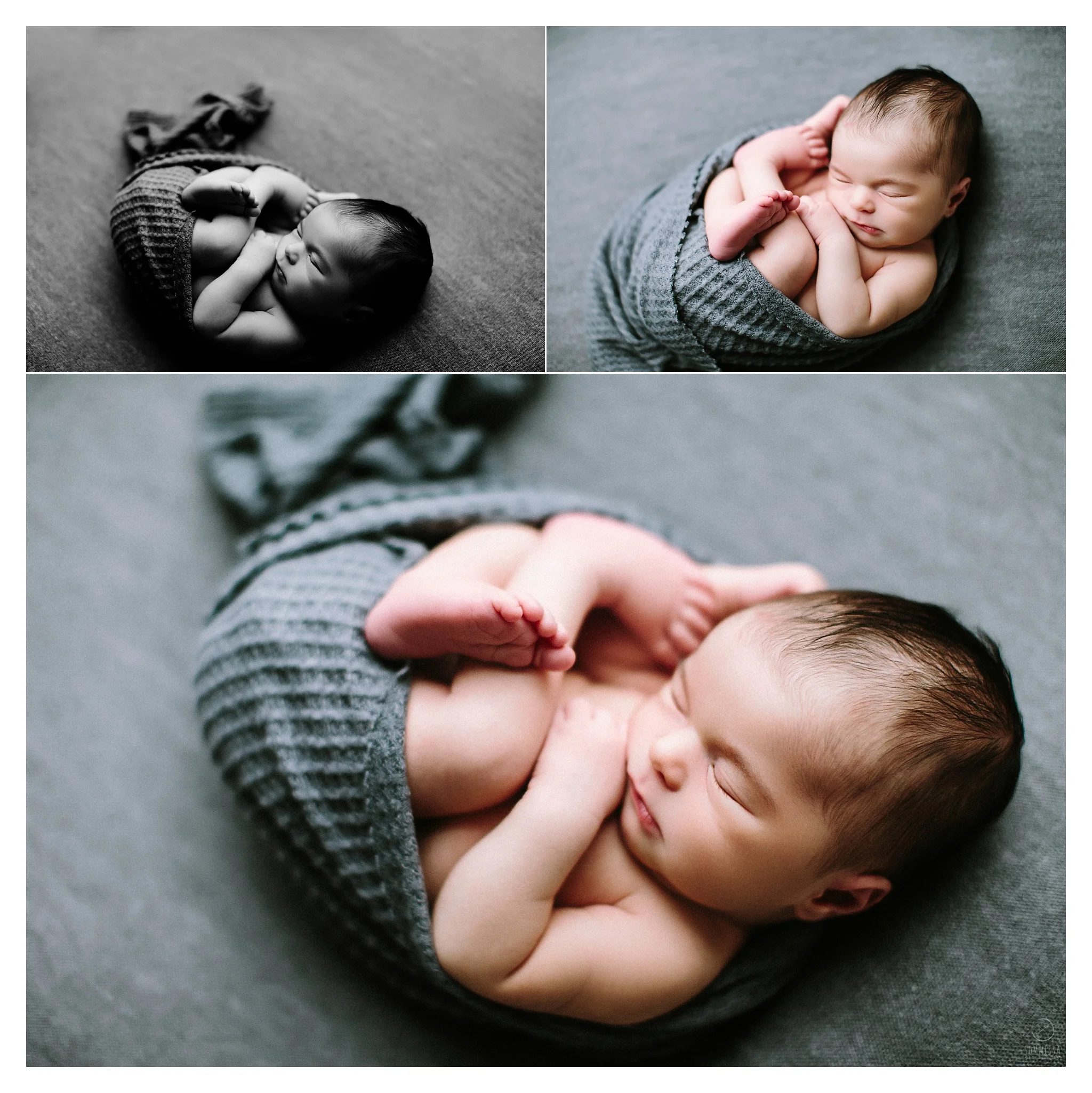 Newborn Photography Sommessa Portland Oregon_0961.jpg