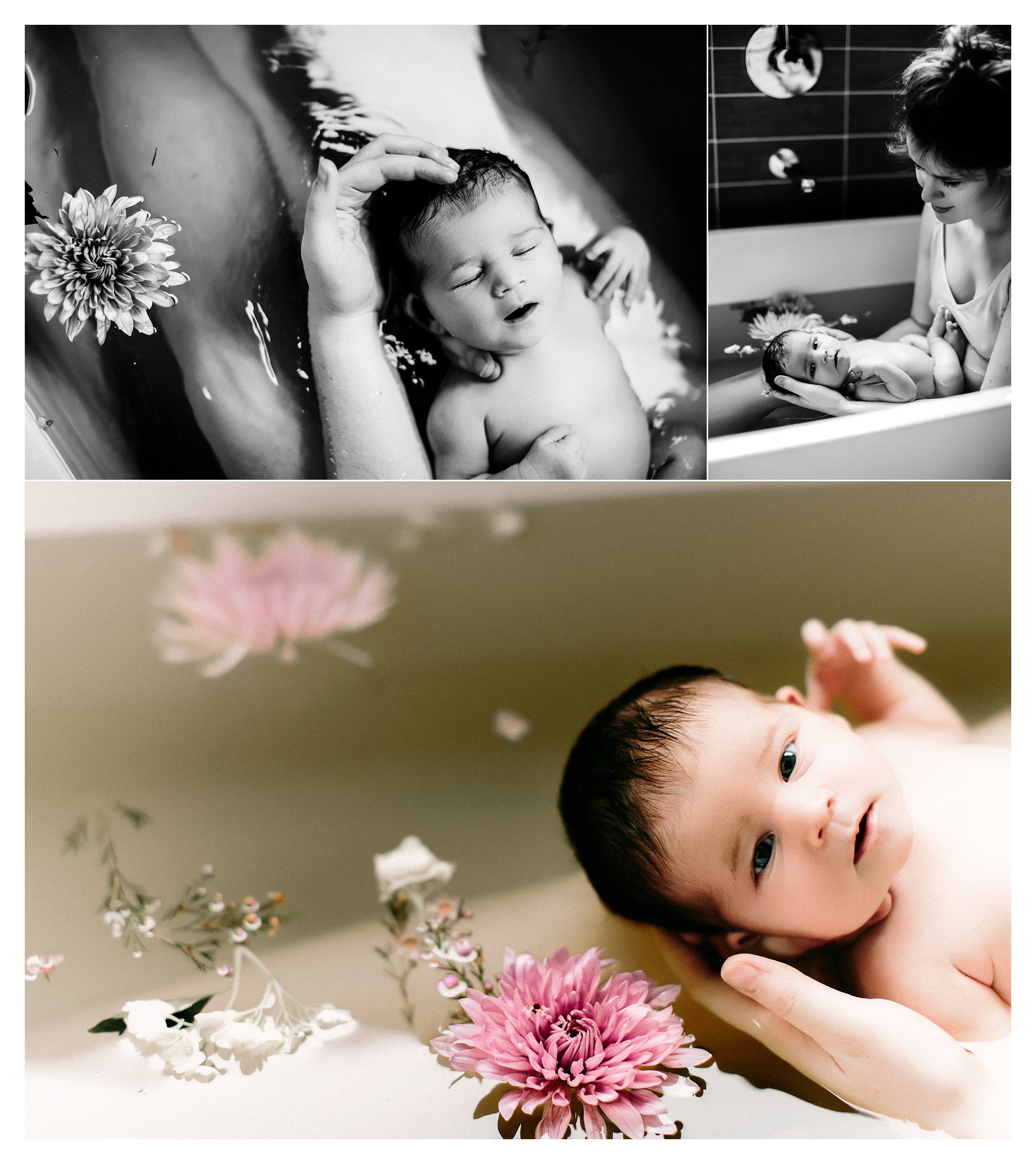 Newborn Photography Portland Oregon Sommessa_0967.jpg