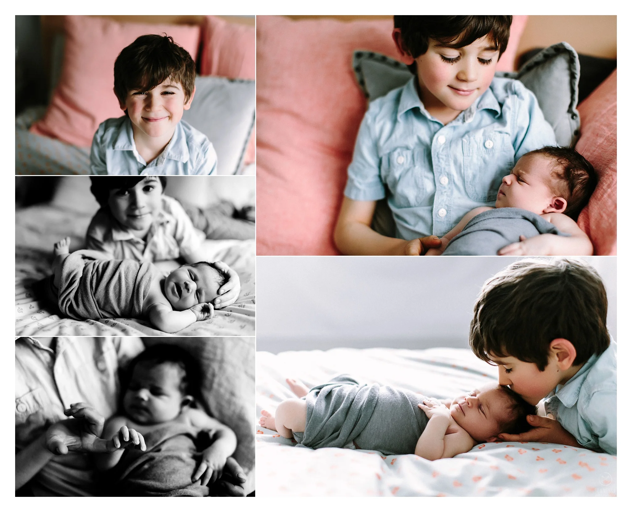 Newborn Photography Portland Oregon Sommessa_0972.jpg
