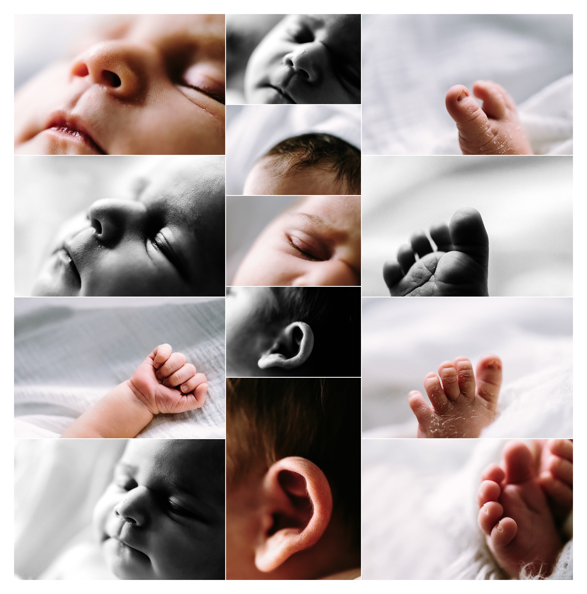 Newborn Photography Portland Oregon Sommessa_0978.jpg