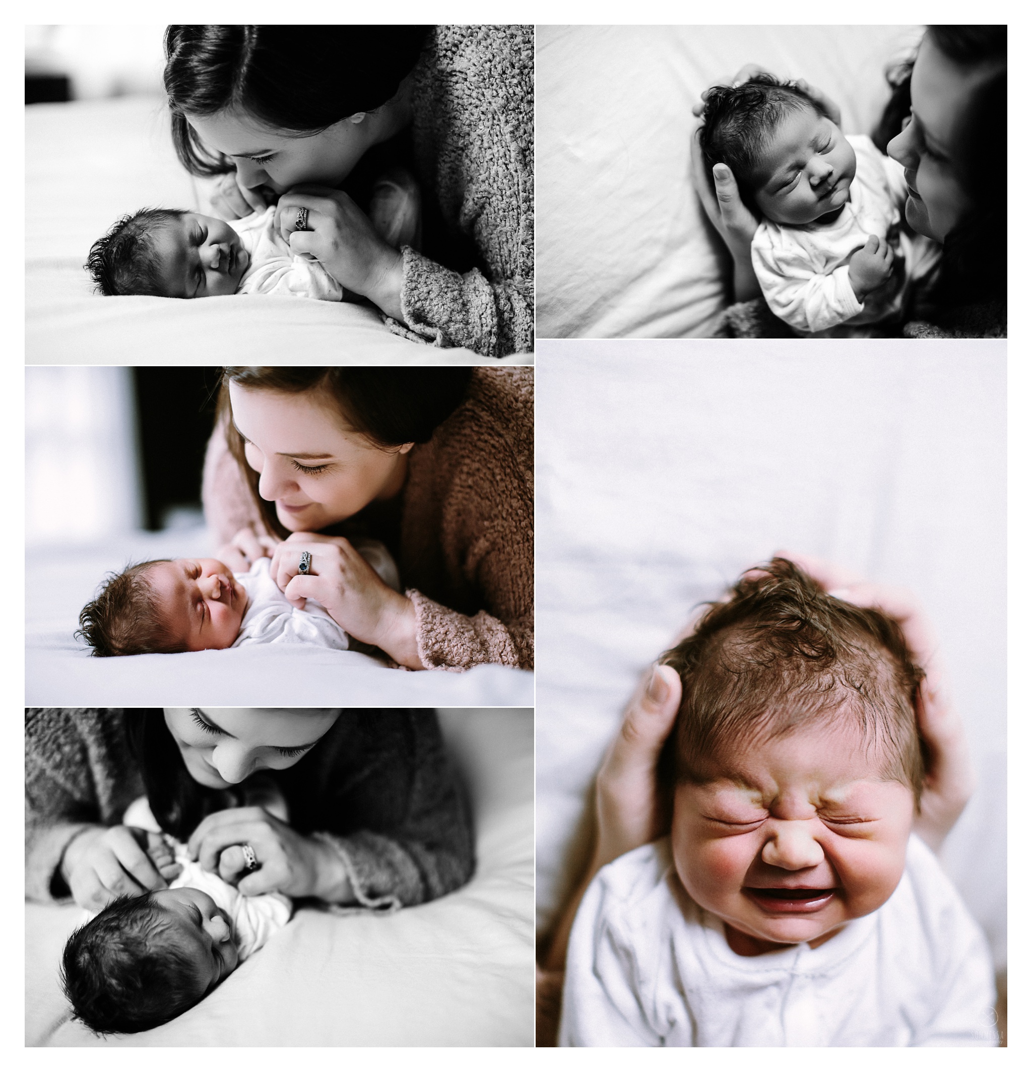 Newborn Photography Portland Oregon Sommessa_0992.jpg