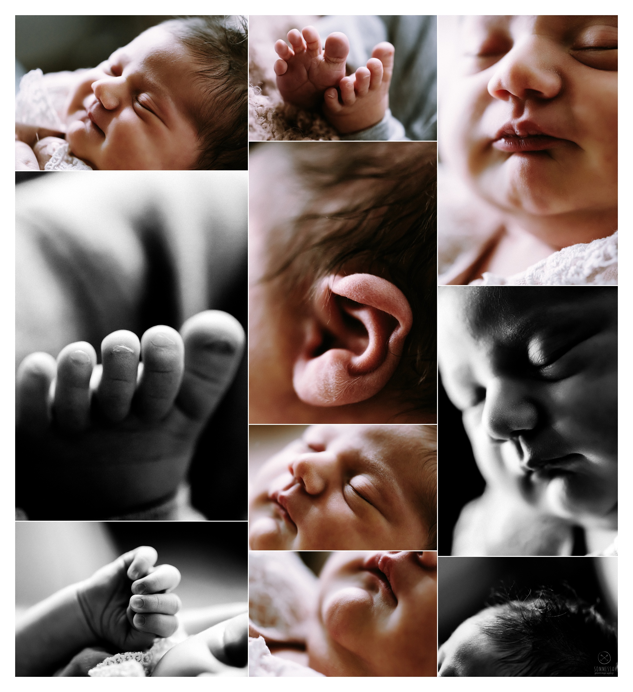 Newborn Photography Portland Oregon Sommessa_1007.jpg