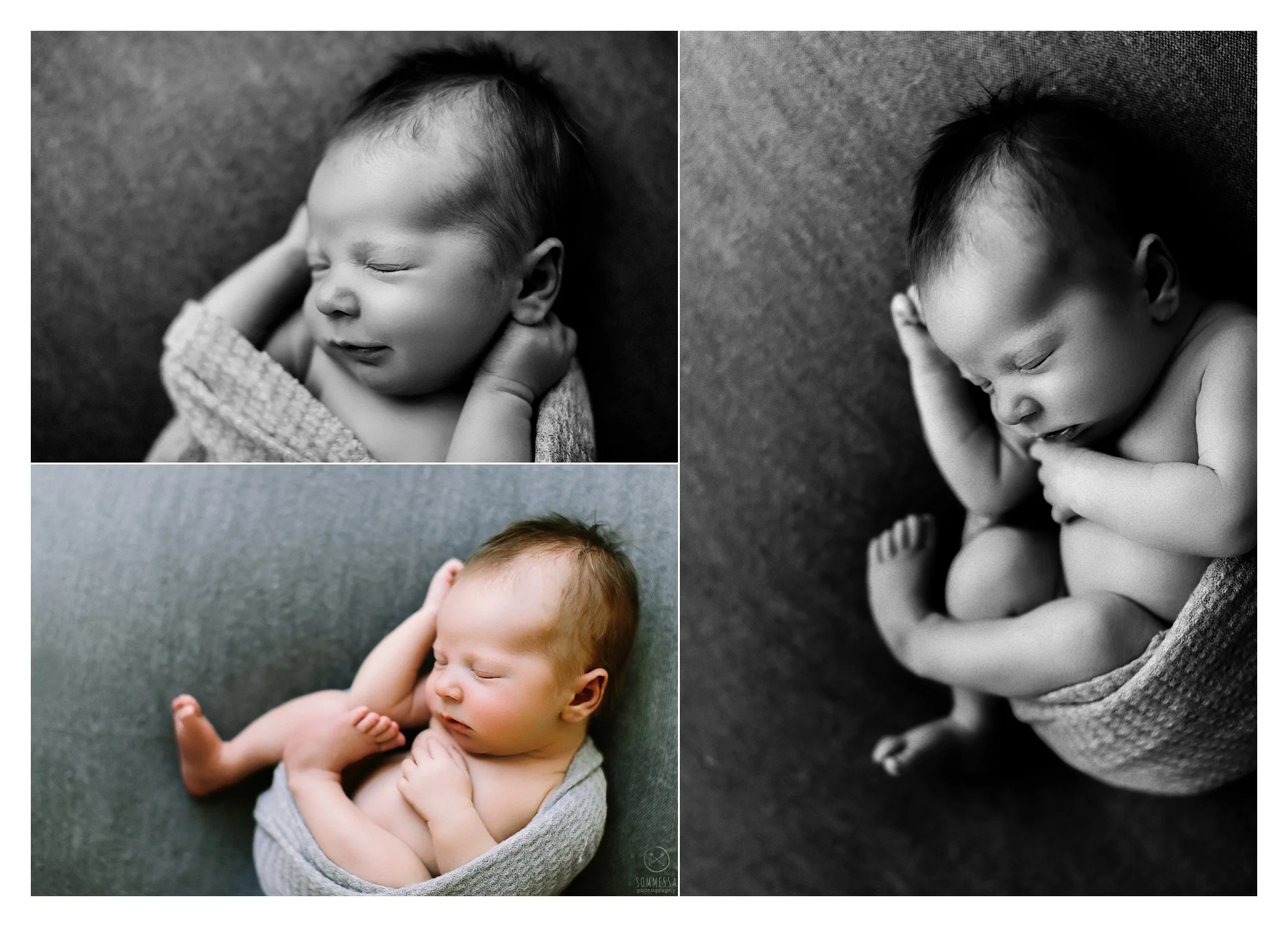Newborn Photography Portland Oregon Sommessa_1053.jpg