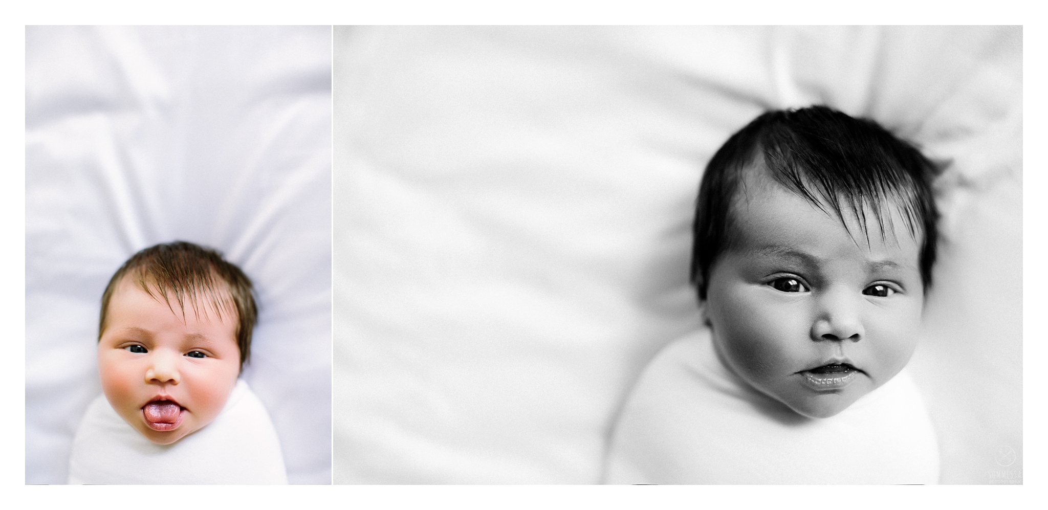 Newborn Photography Portland Oregon Sommessa_1070.jpg