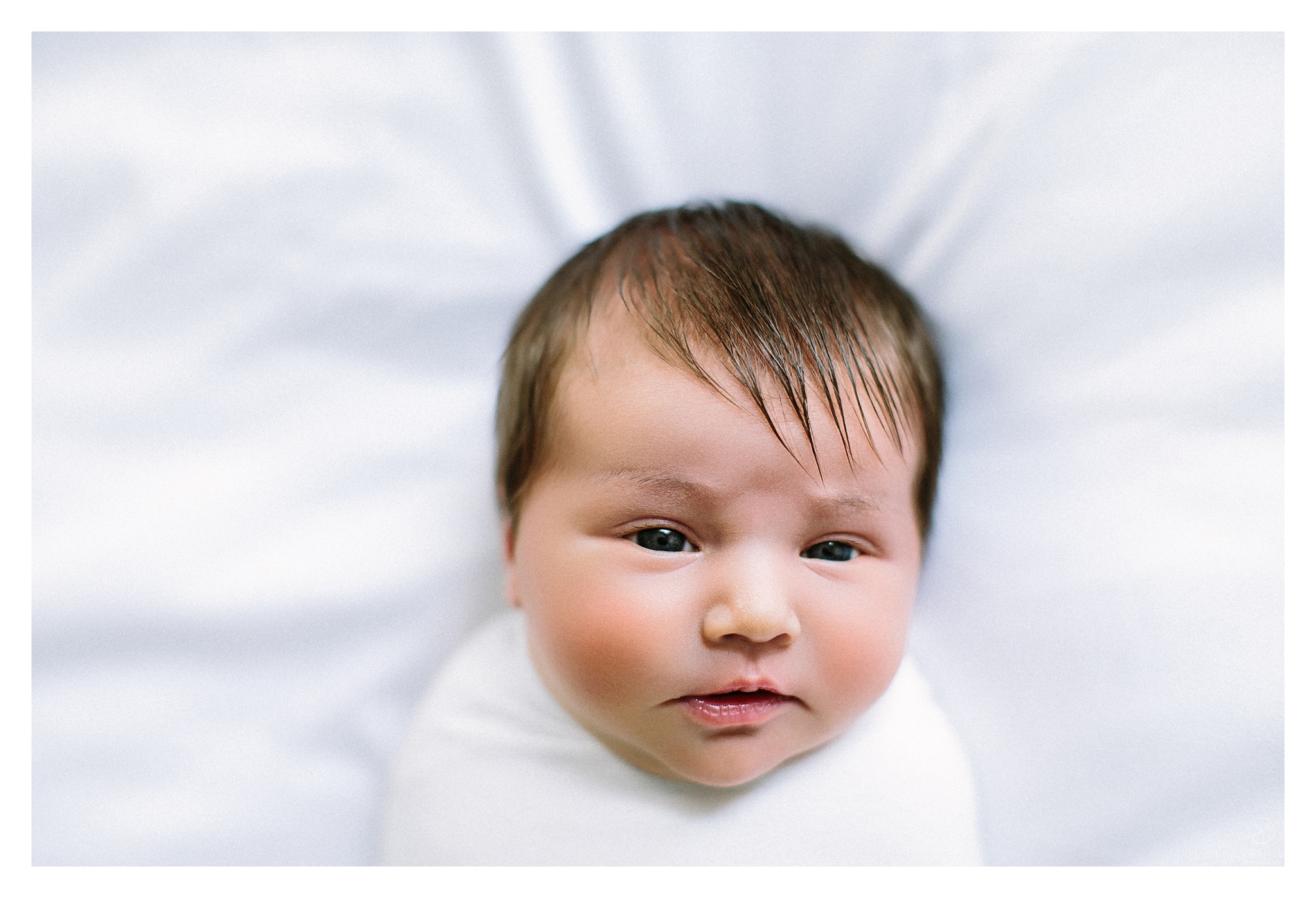 Newborn Photography Portland Oregon Sommessa_1069.jpg