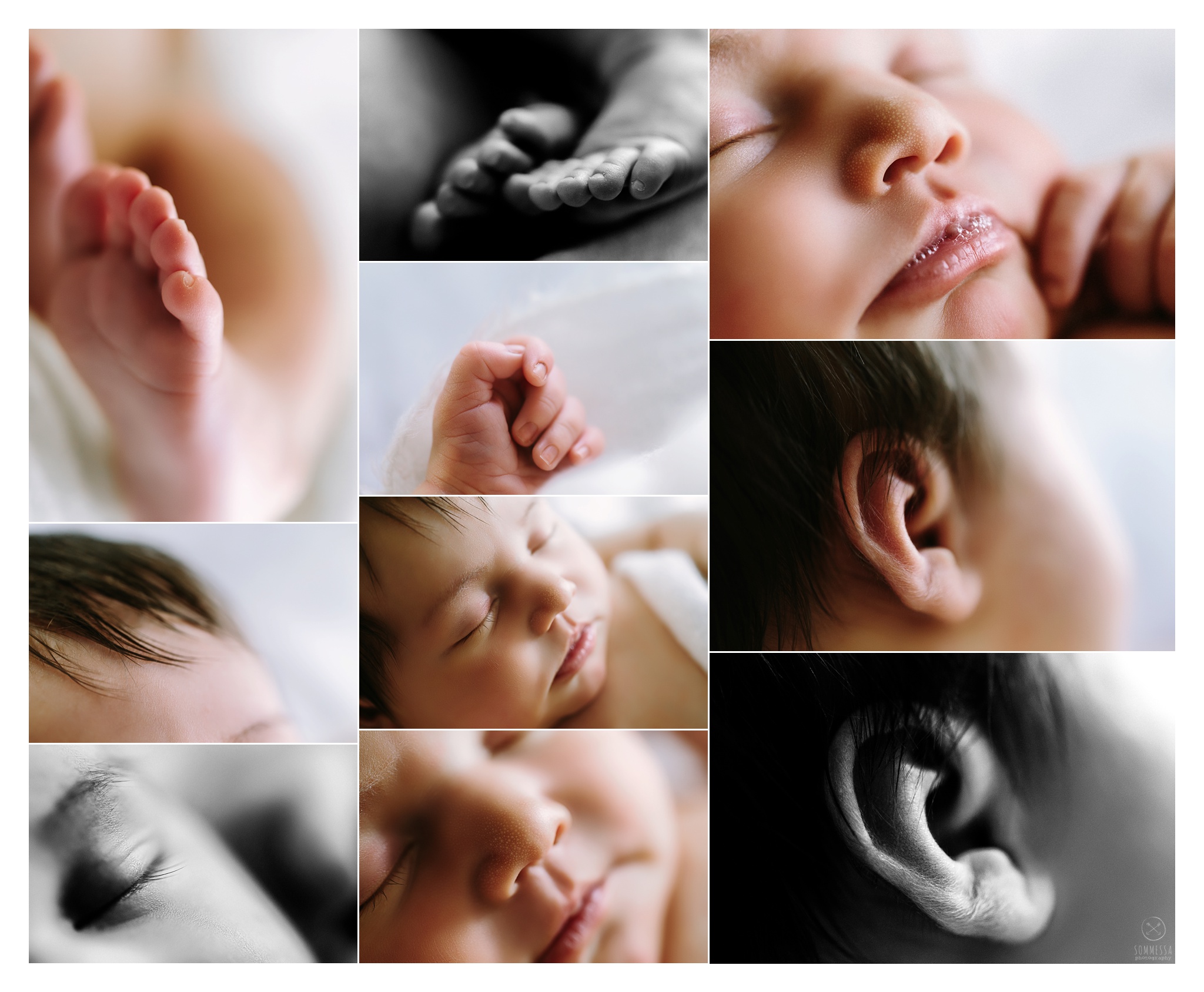 Newborn Photography Portland Oregon Sommessa_1079.jpg