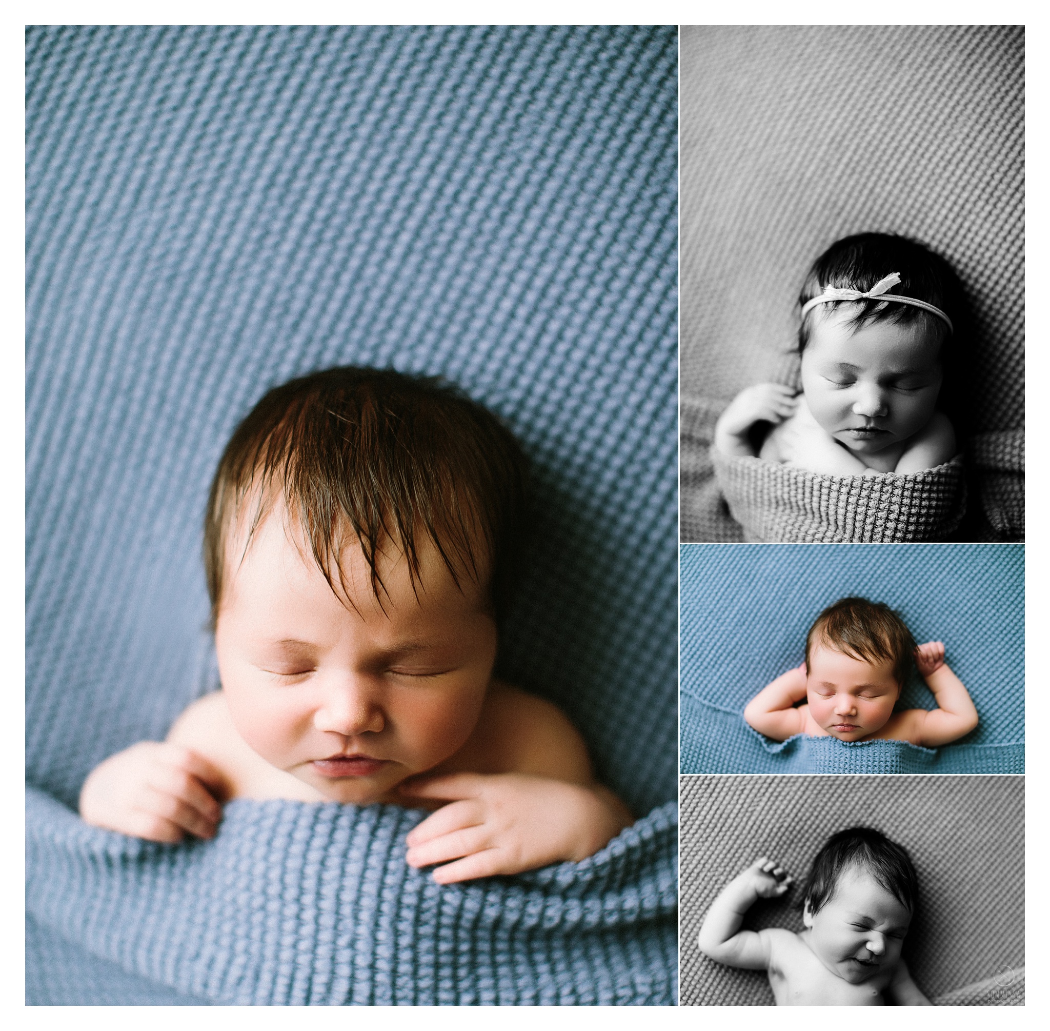 Newborn Photography Portland Oregon Sommessa_1081.jpg