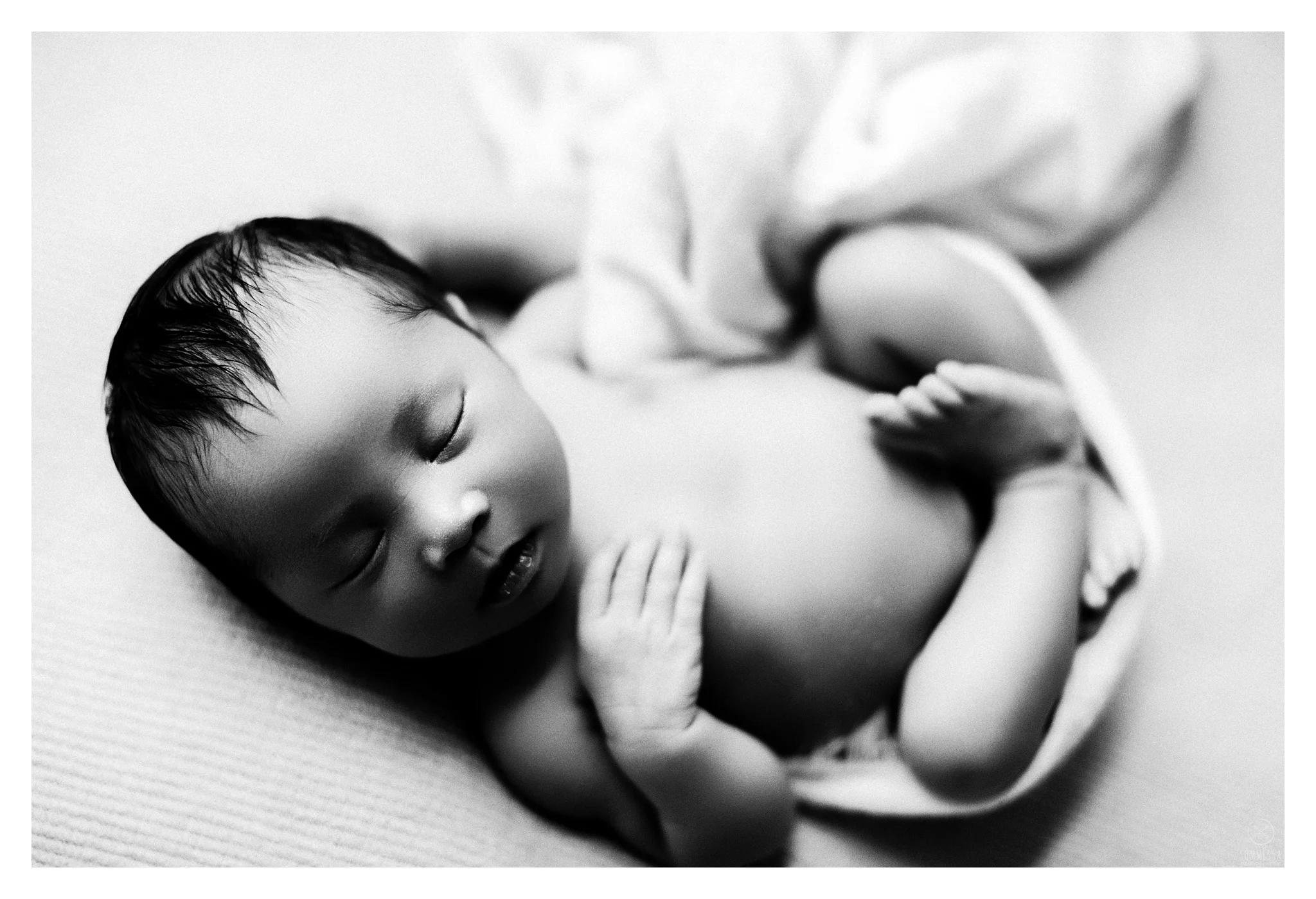 Newborn Photography Portland Oregon Sommessa_1127.jpg