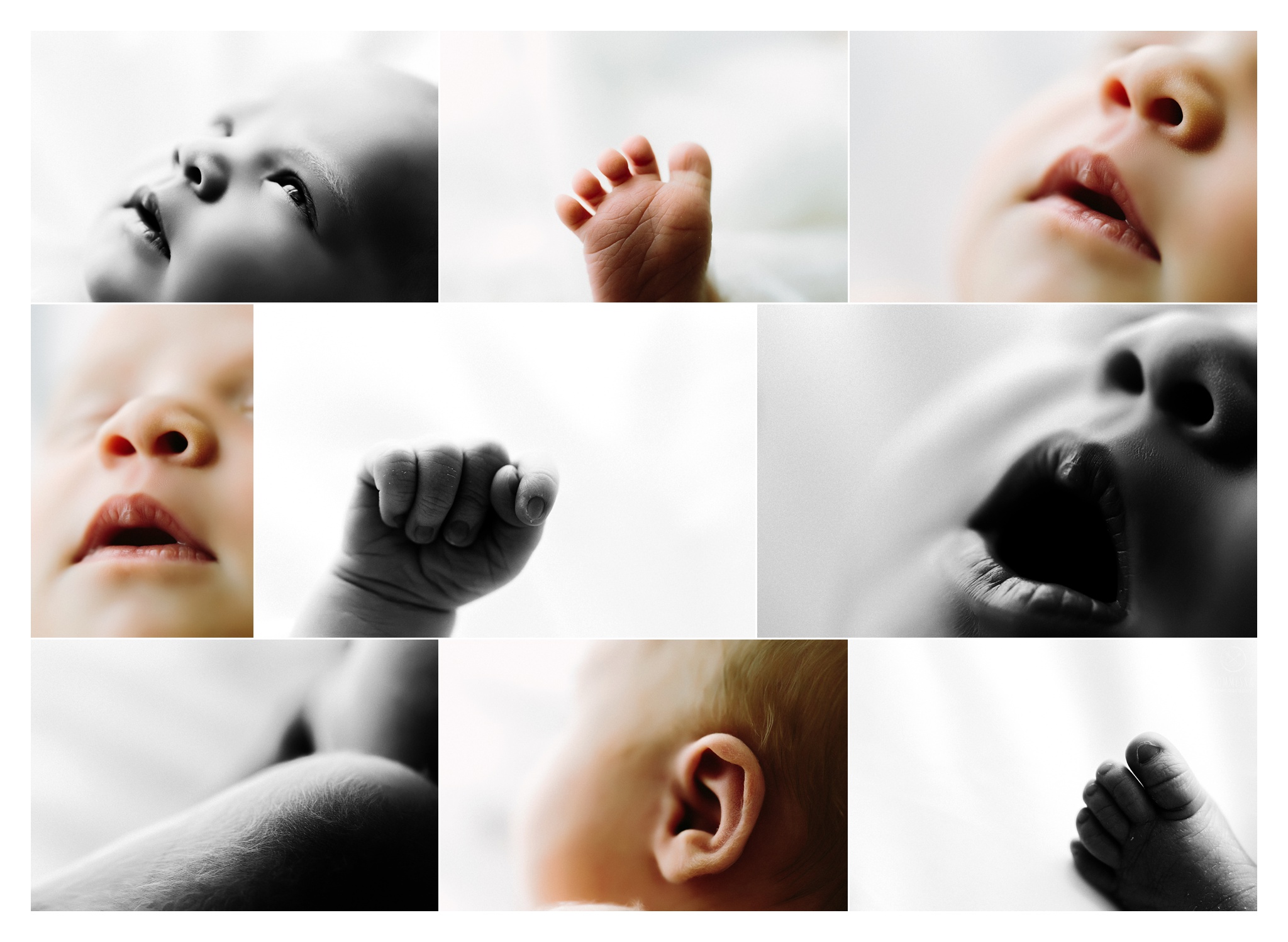 Newborn Photography Portland Oregon Sommessa_1142.jpg