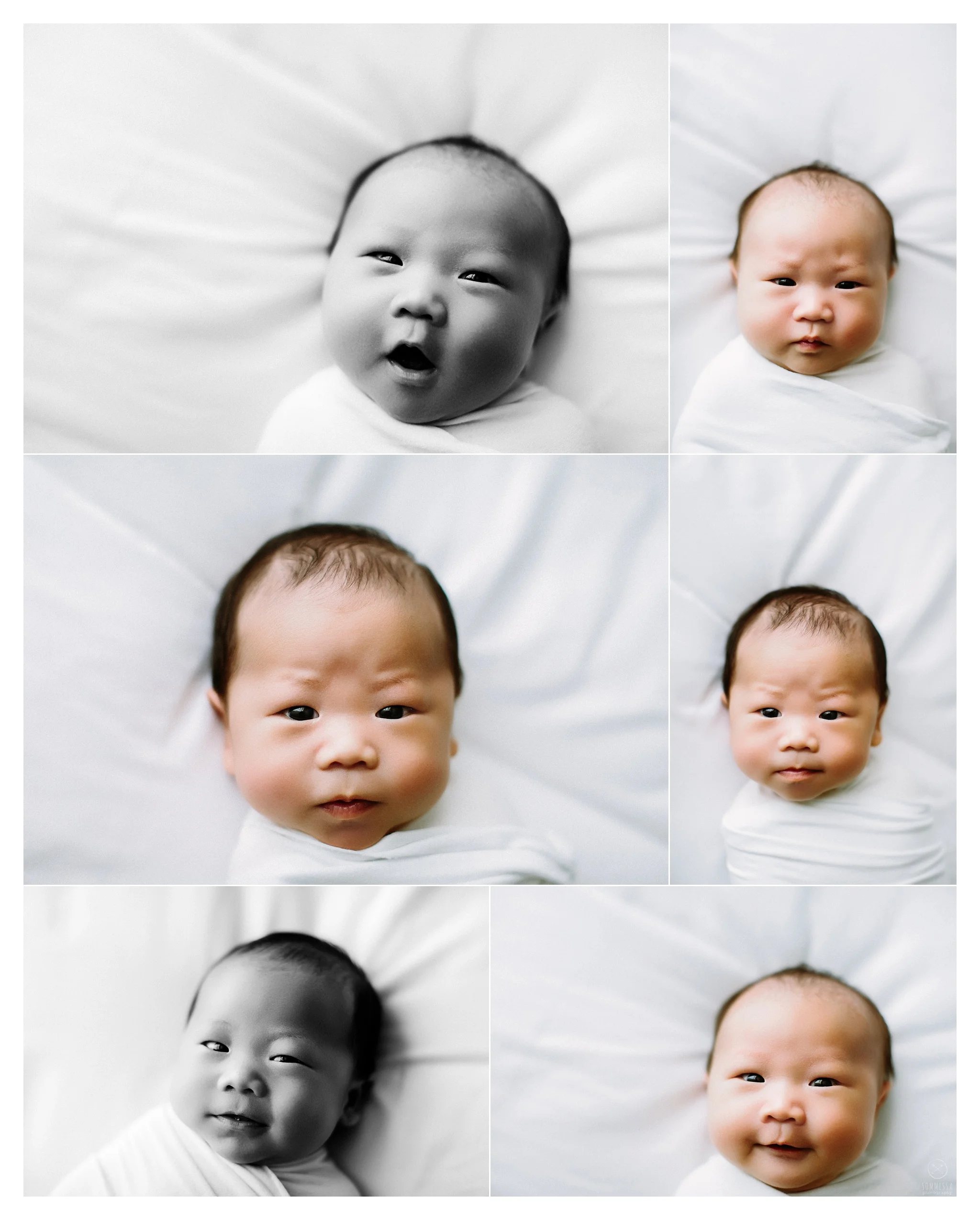 Newborn Photography Portland Oregon Sommessa_1160.jpg