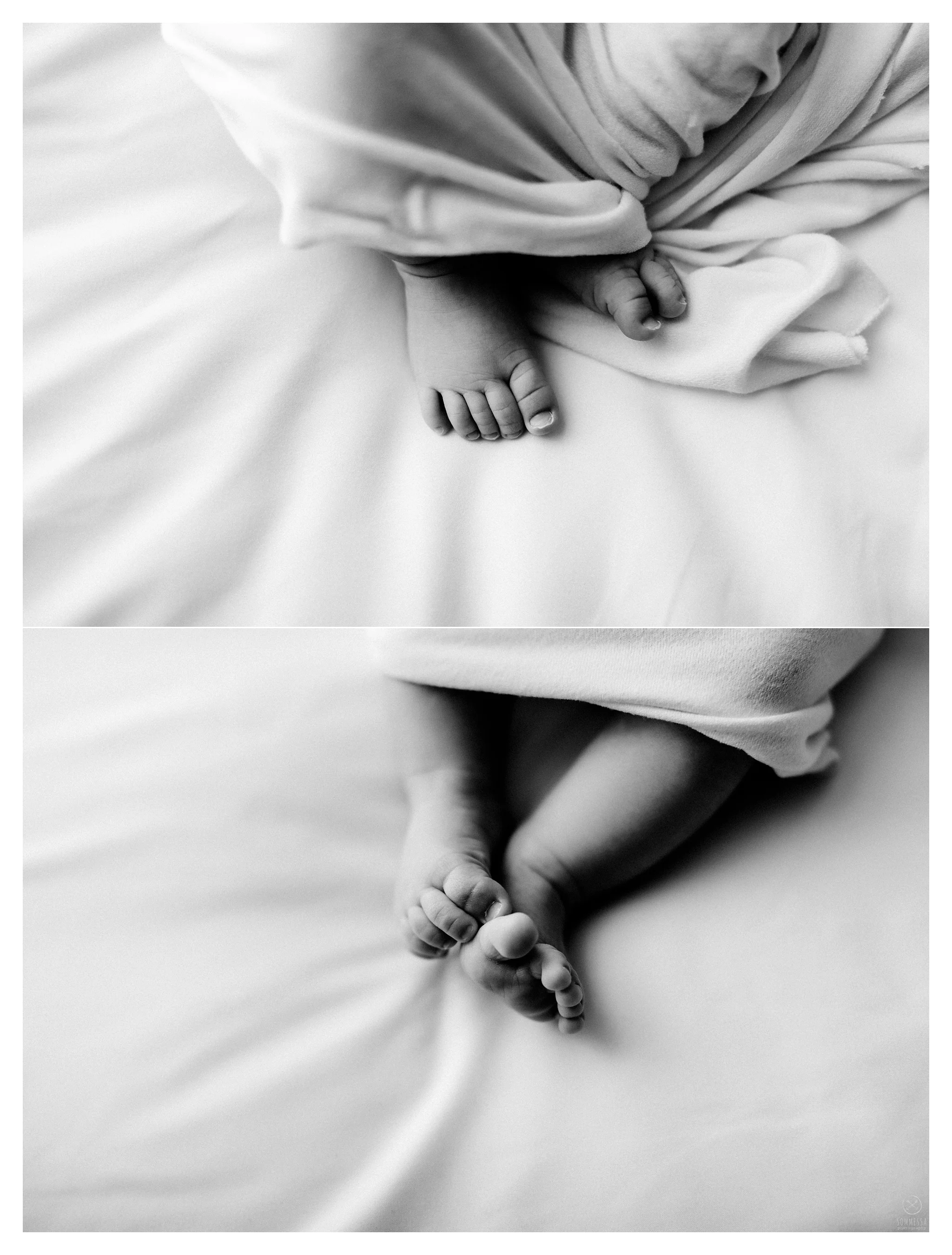 Newborn Photography Portland Oregon Sommessa_1161.jpg