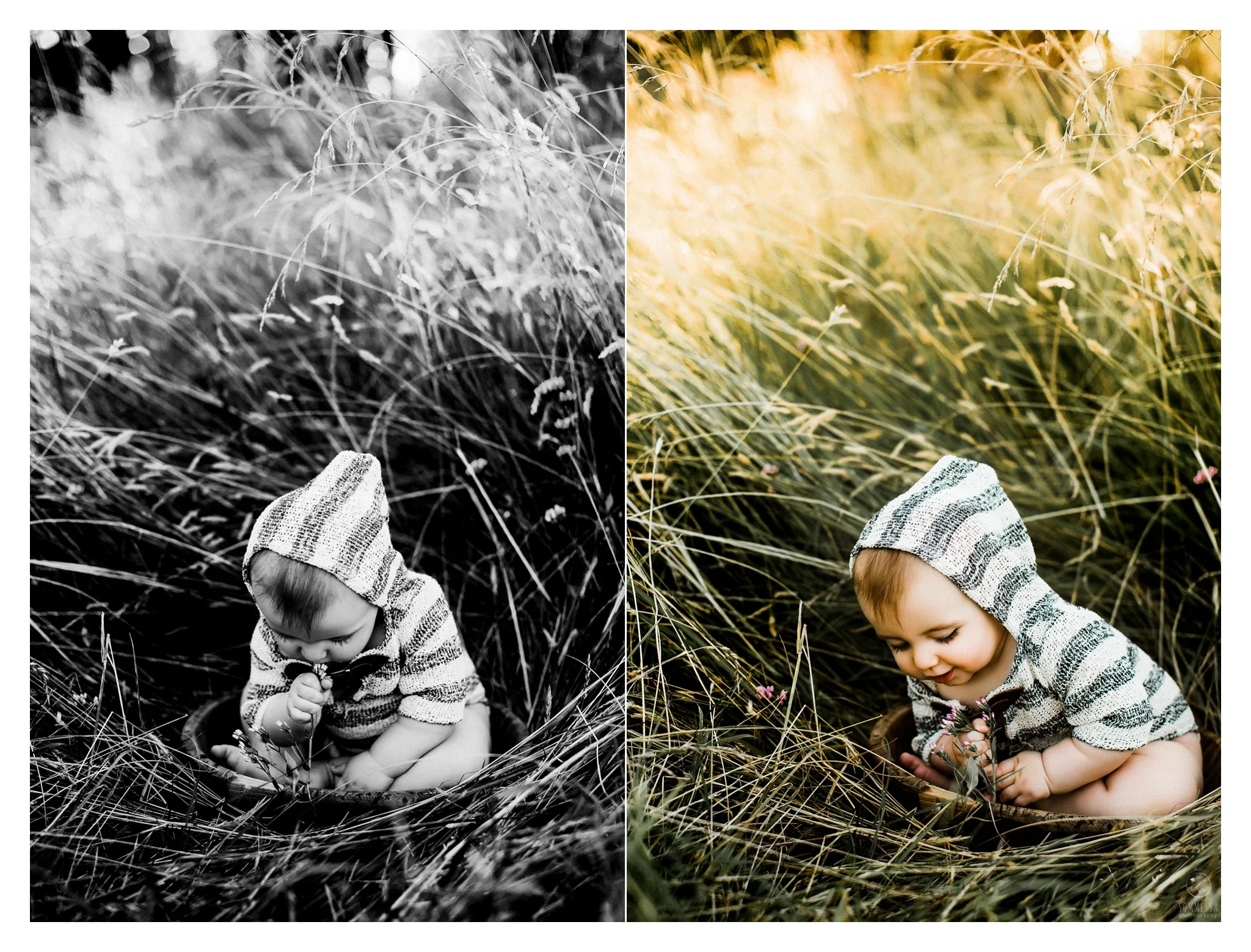 Baby Photography Portland Oregon Sommessa_1283.jpg