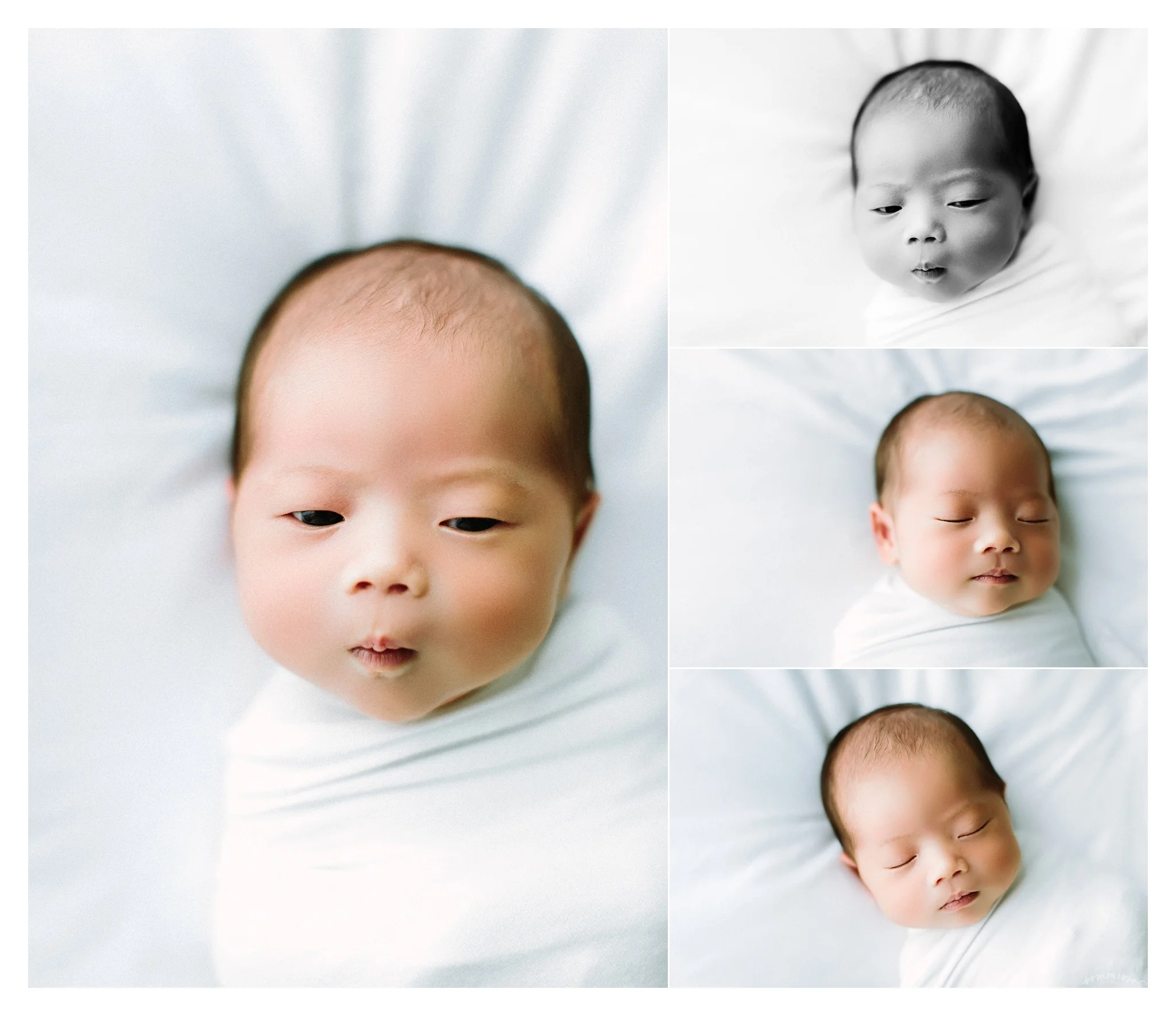 Newborn Photography Portland Oregon Sommessa_1315.jpg