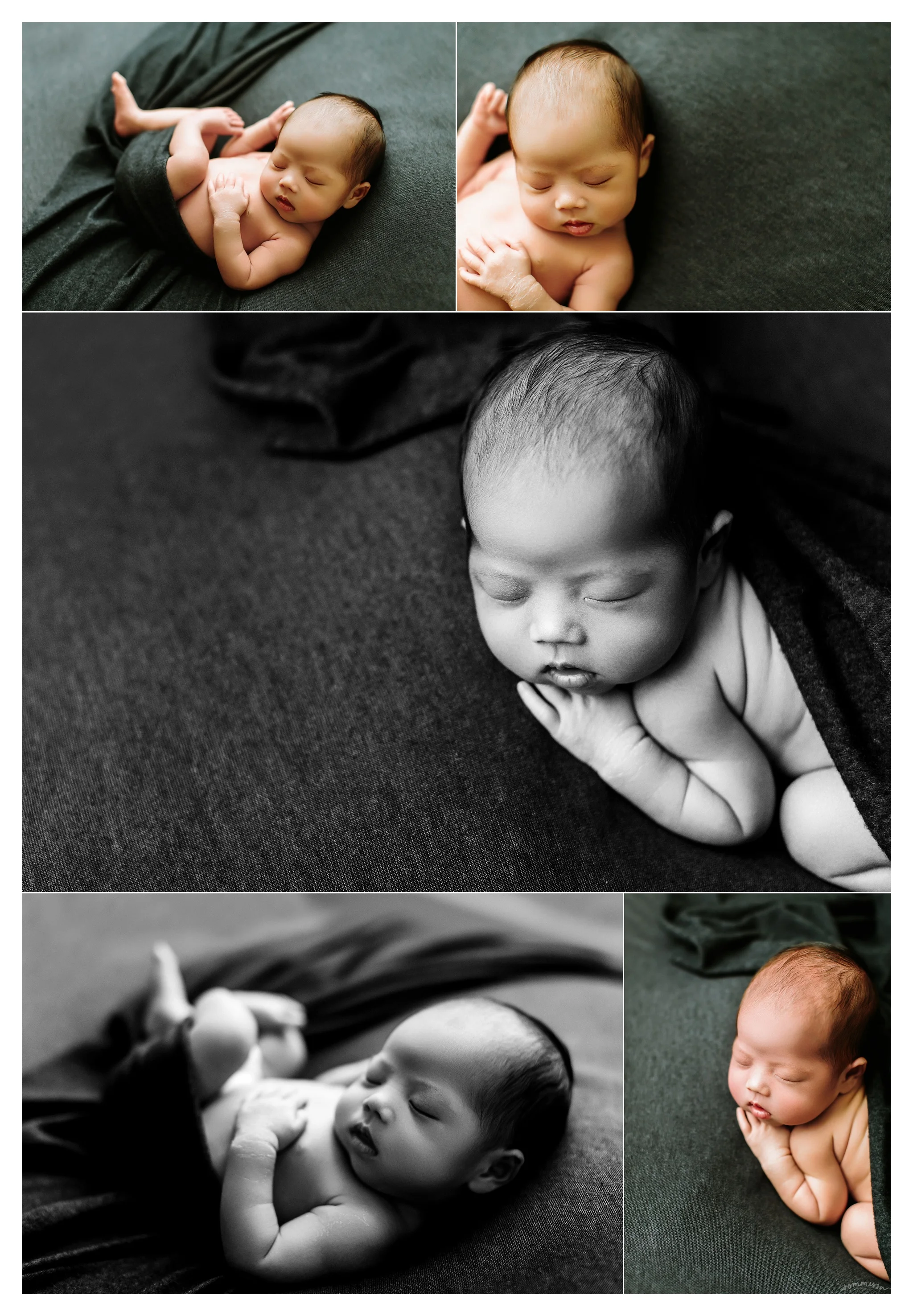 Newborn Photography Portland Oregon Sommessa_1331.jpg