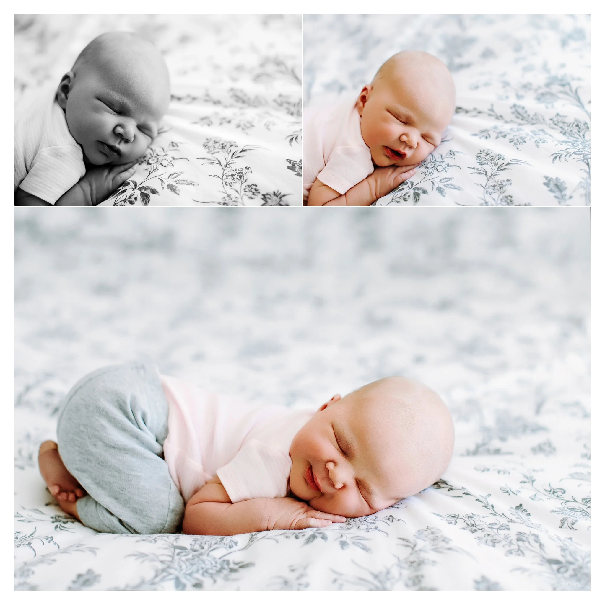 Newborn Photography Portland Oregon Sommessa_1338.jpg
