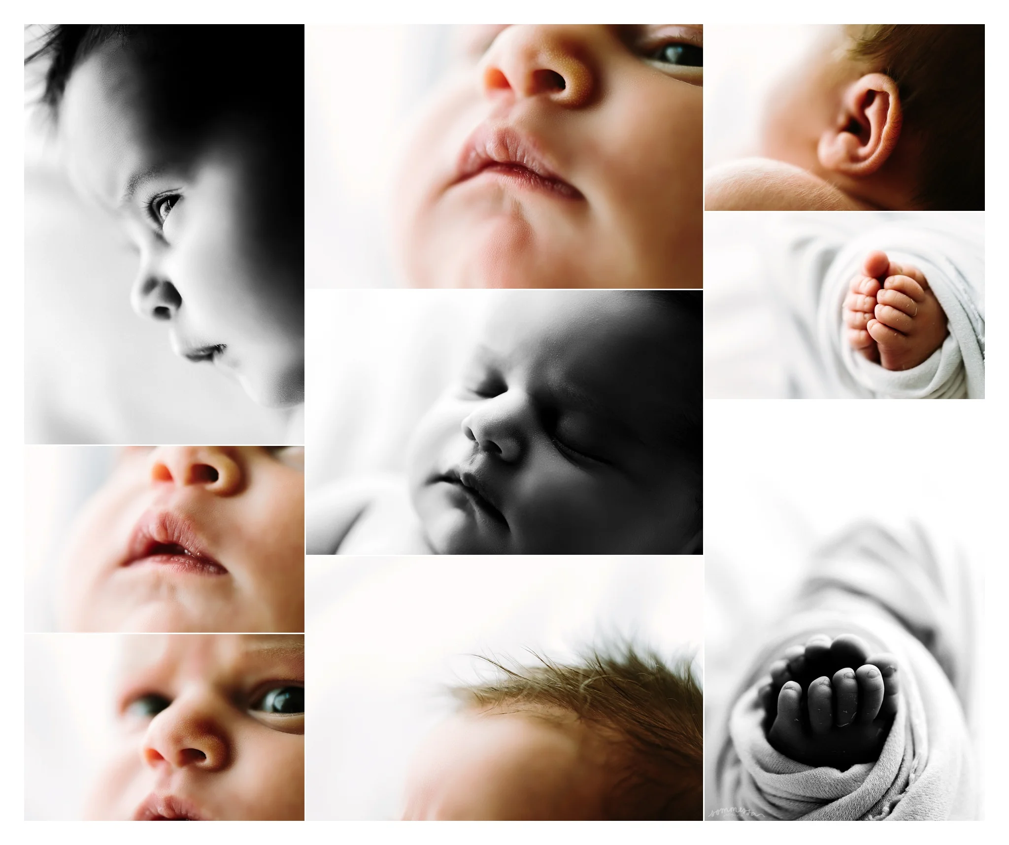 Newborn Photography Portland Oregon Sommessa_1391.jpg