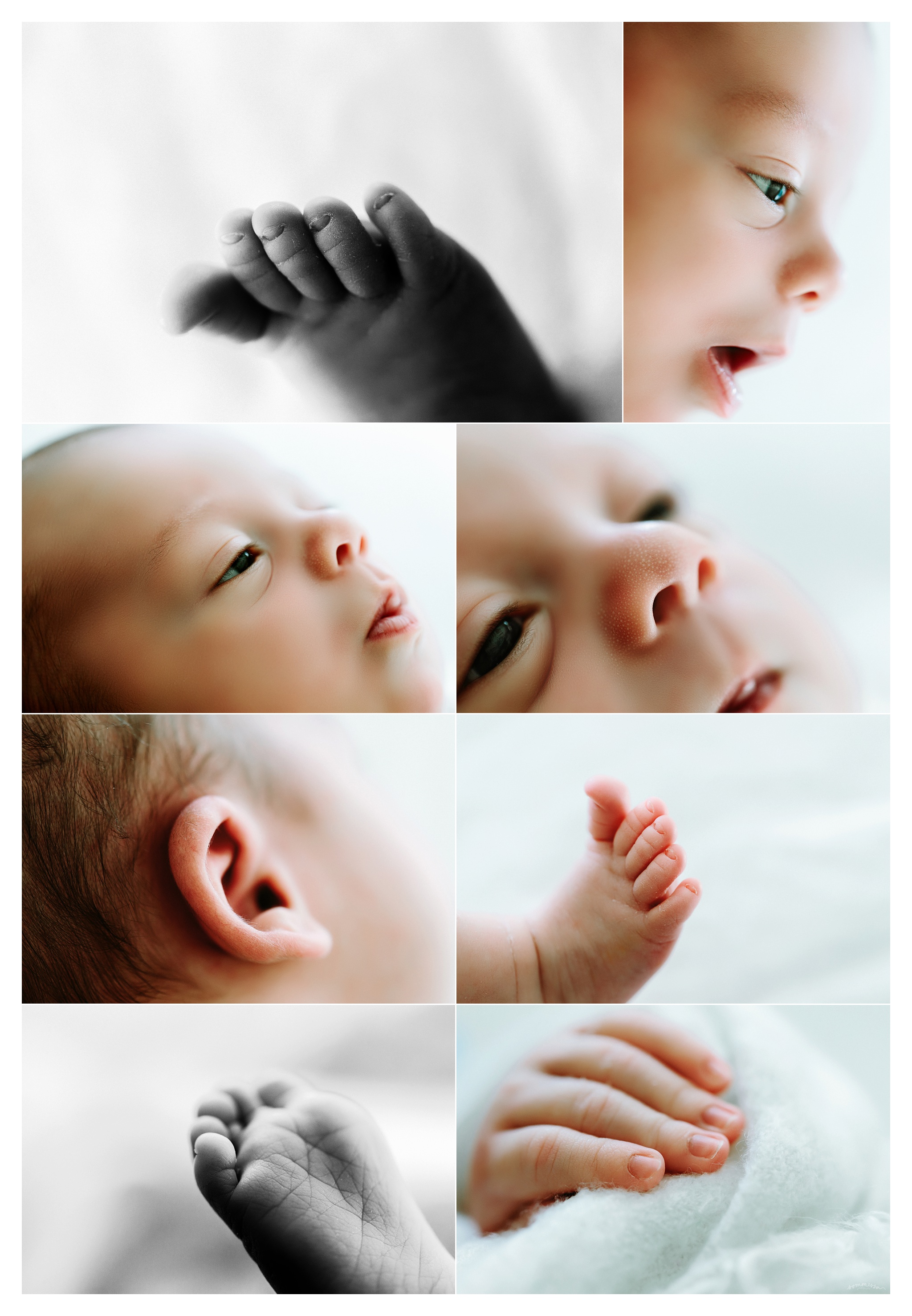 Newborn Photography Portland Oregon Sommessa_1473.jpg