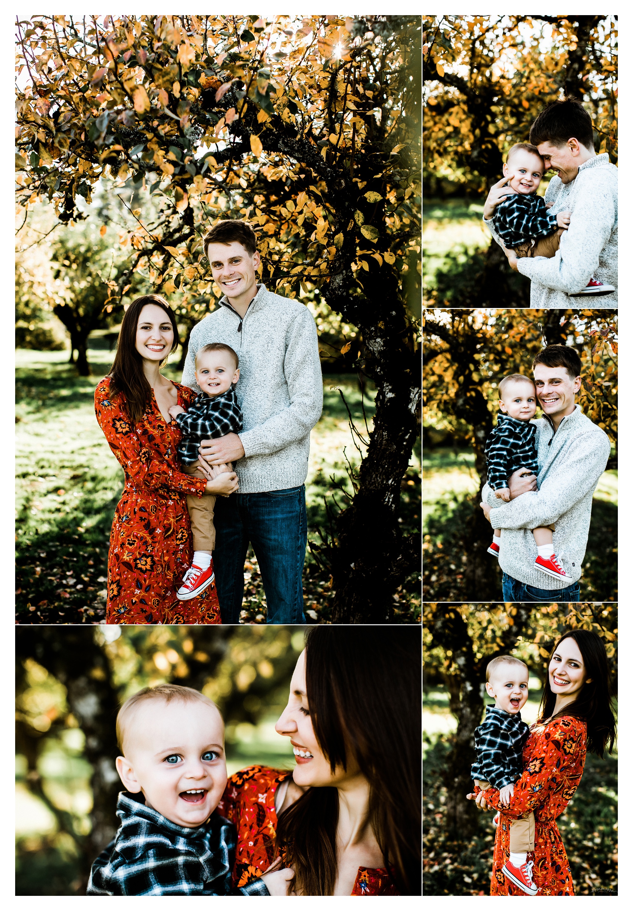 Family Photography Portland Oregon Sommessa_1502.jpg