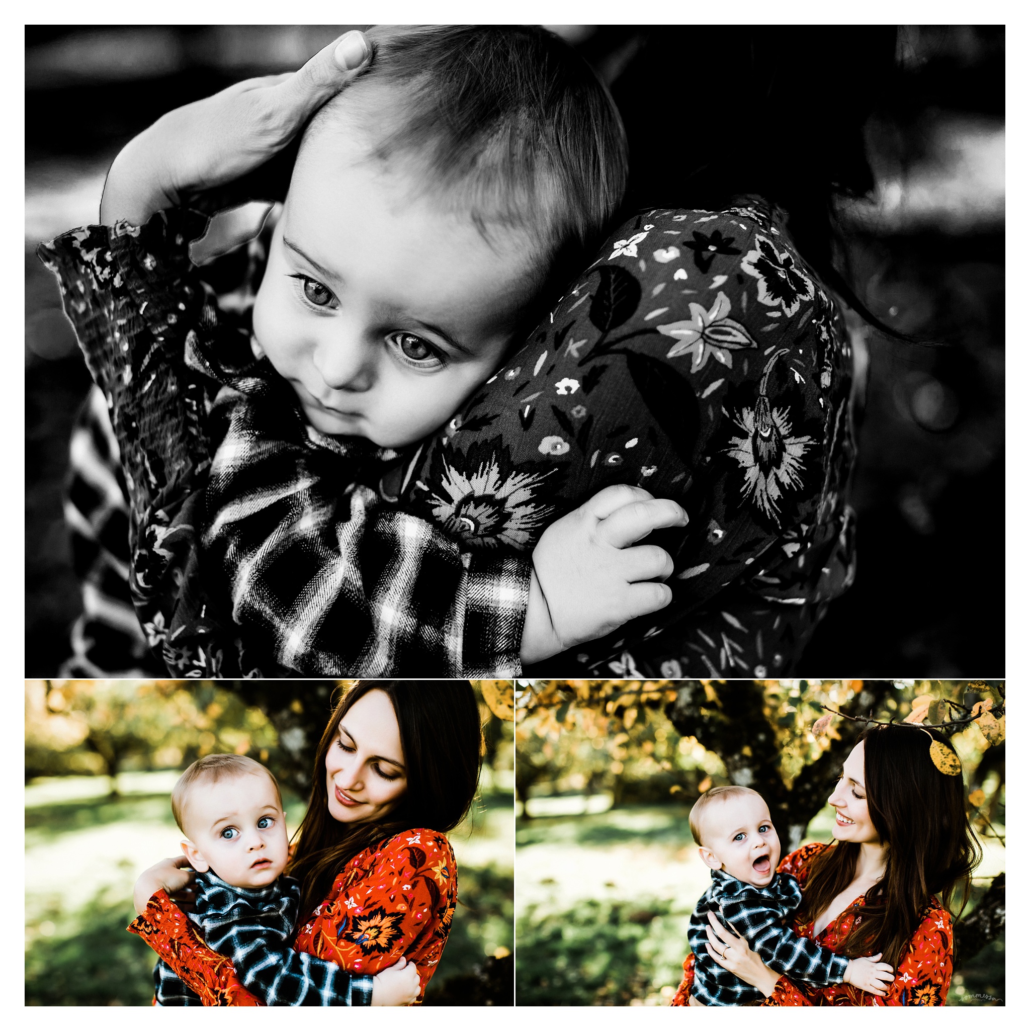 Family Photography Portland Oregon Sommessa_1504.jpg