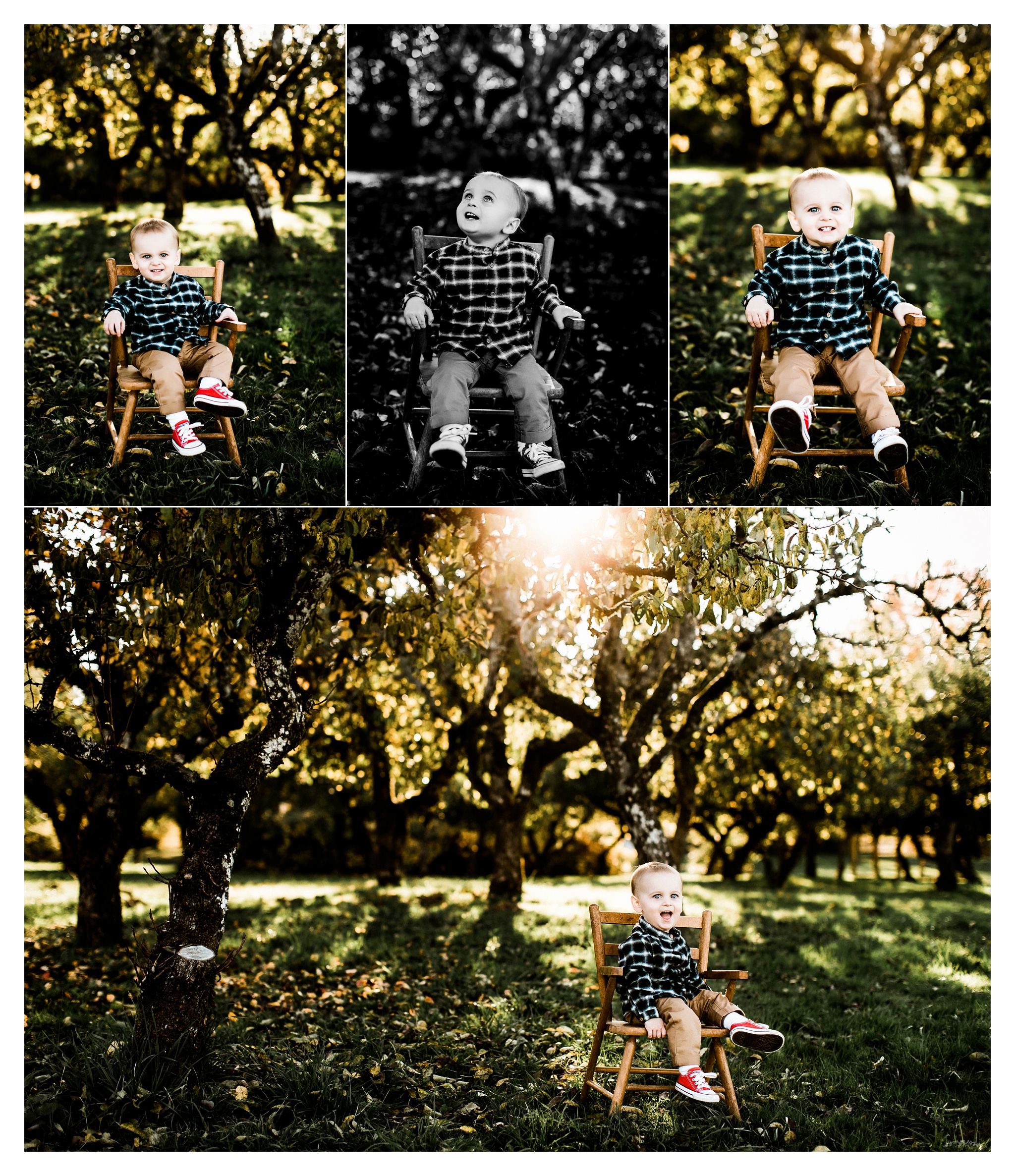 Family Photography Portland Oregon Sommessa_1505.jpg