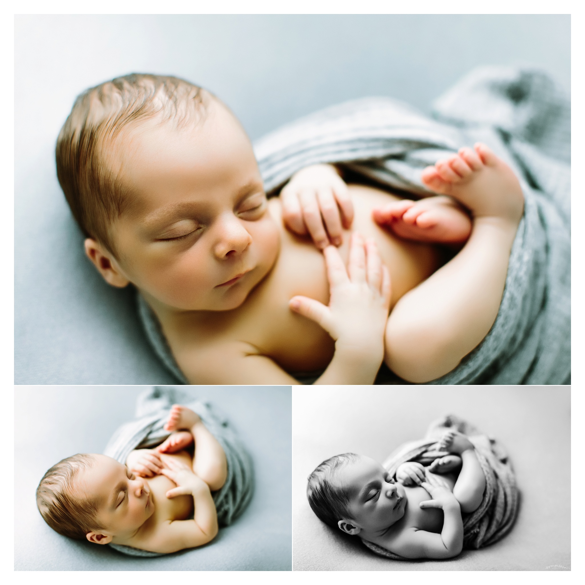 Newborn Photography Portland Oregon Sommessa_1531.jpg