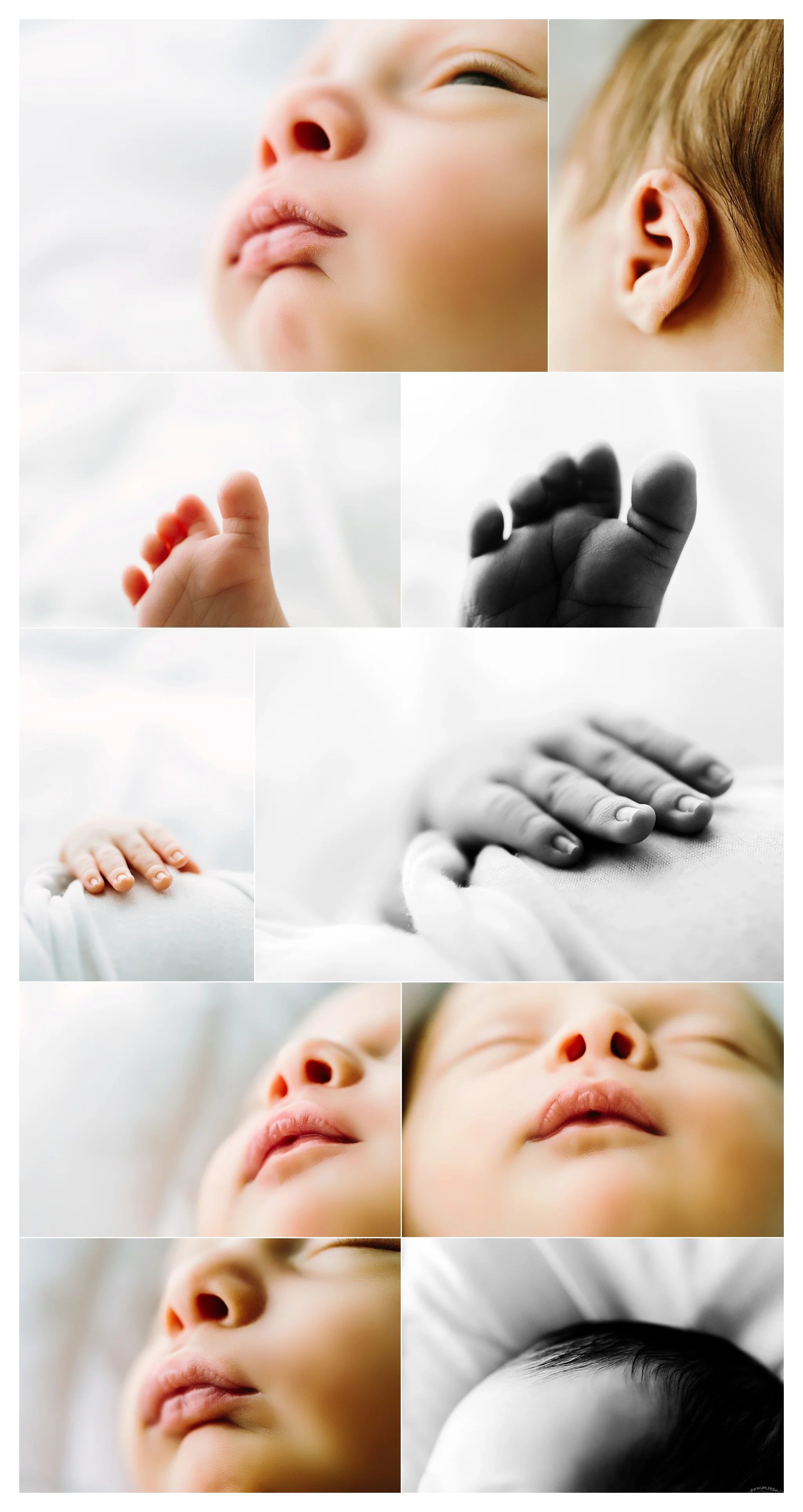 Newborn Photography Portland Oregon Sommessa_1530.jpg
