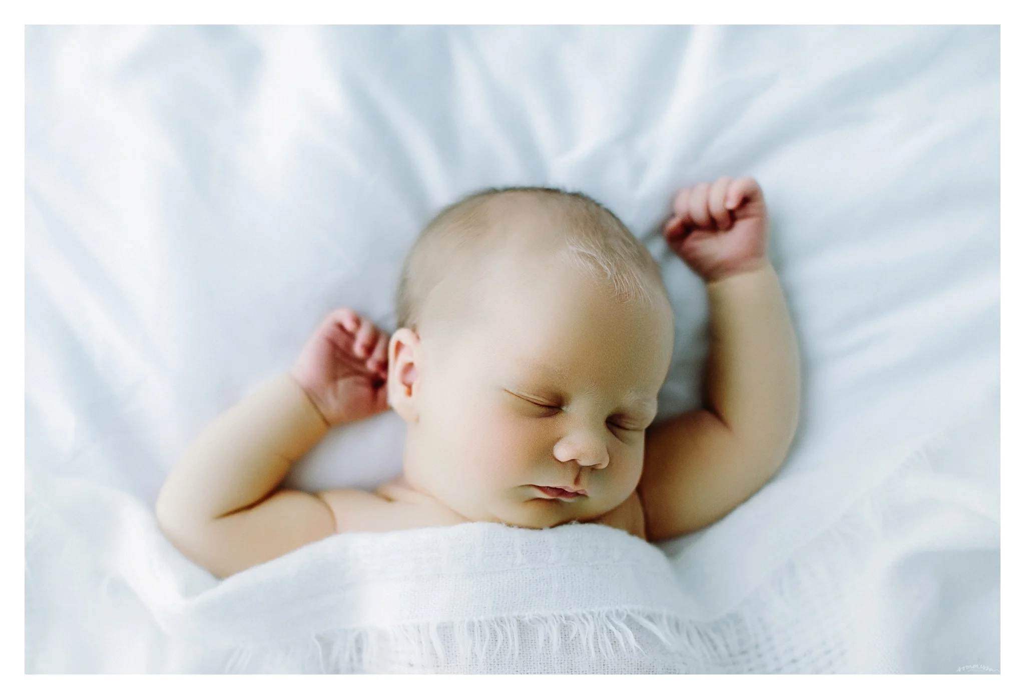 Newborn Photography Portland Oregon Sommessa_1554.jpg
