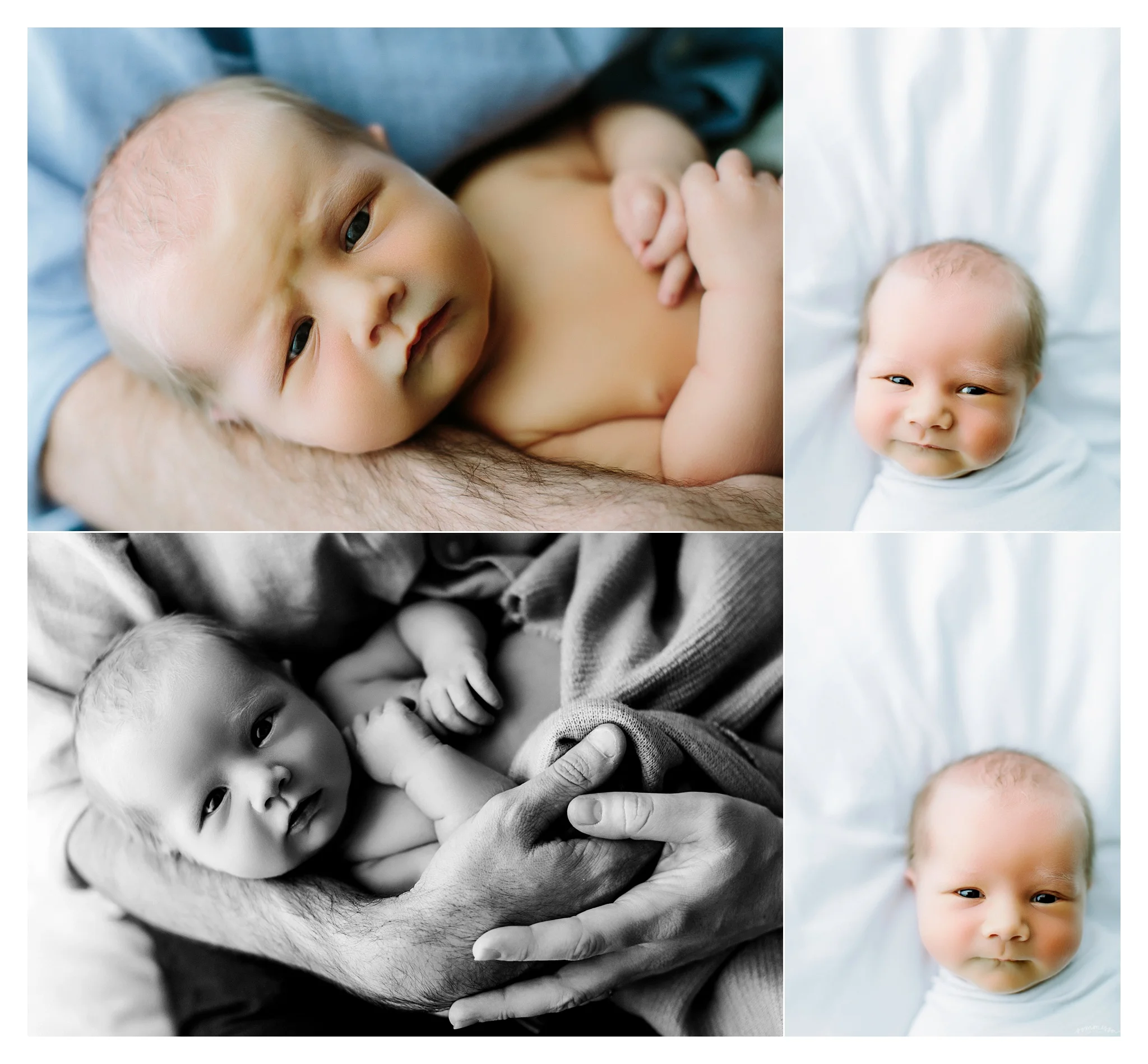 Newborn Photography Portland Oregon Sommessa_1557.jpg