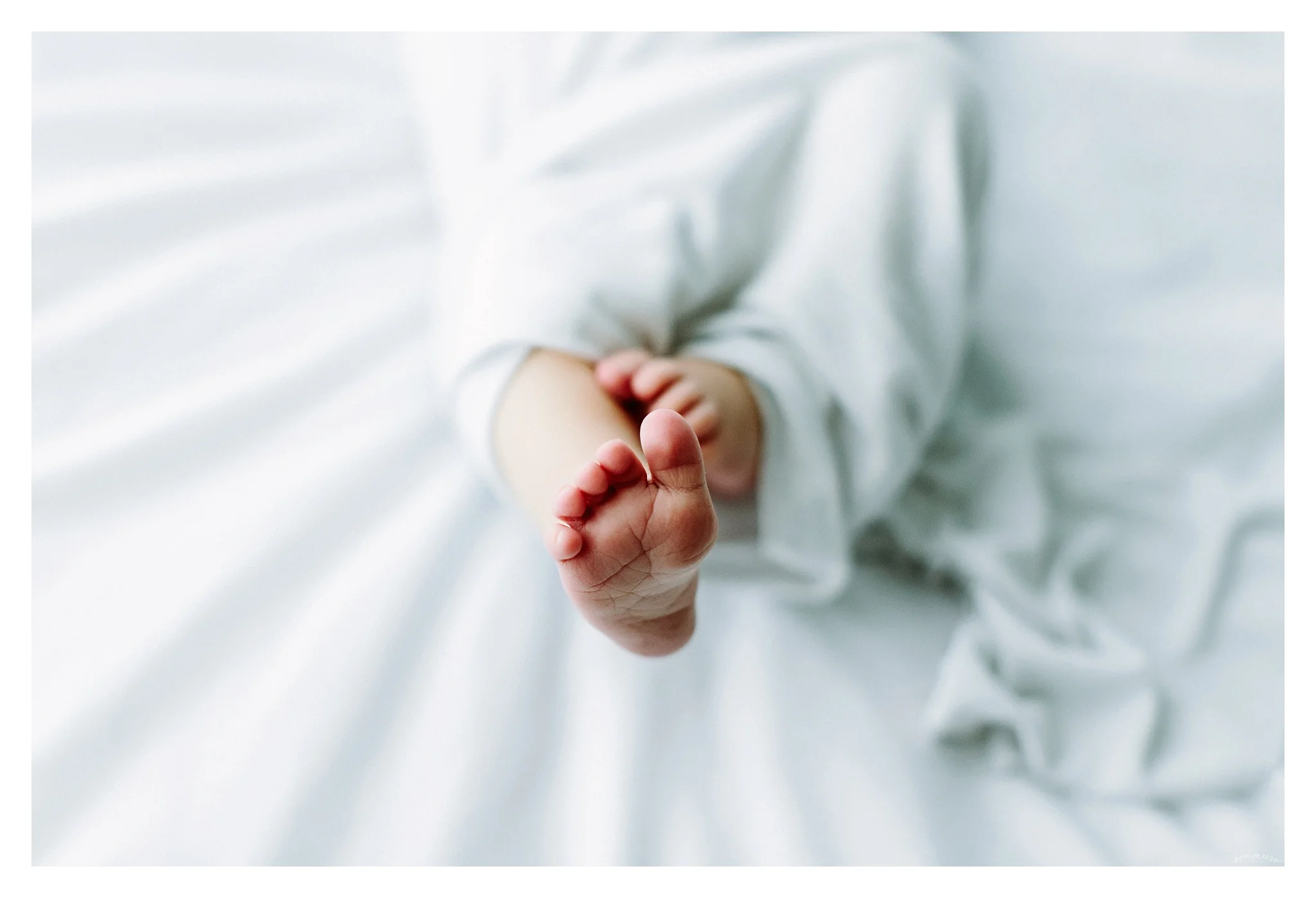 Newborn Photography Portland Oregon Sommessa_1558.jpg
