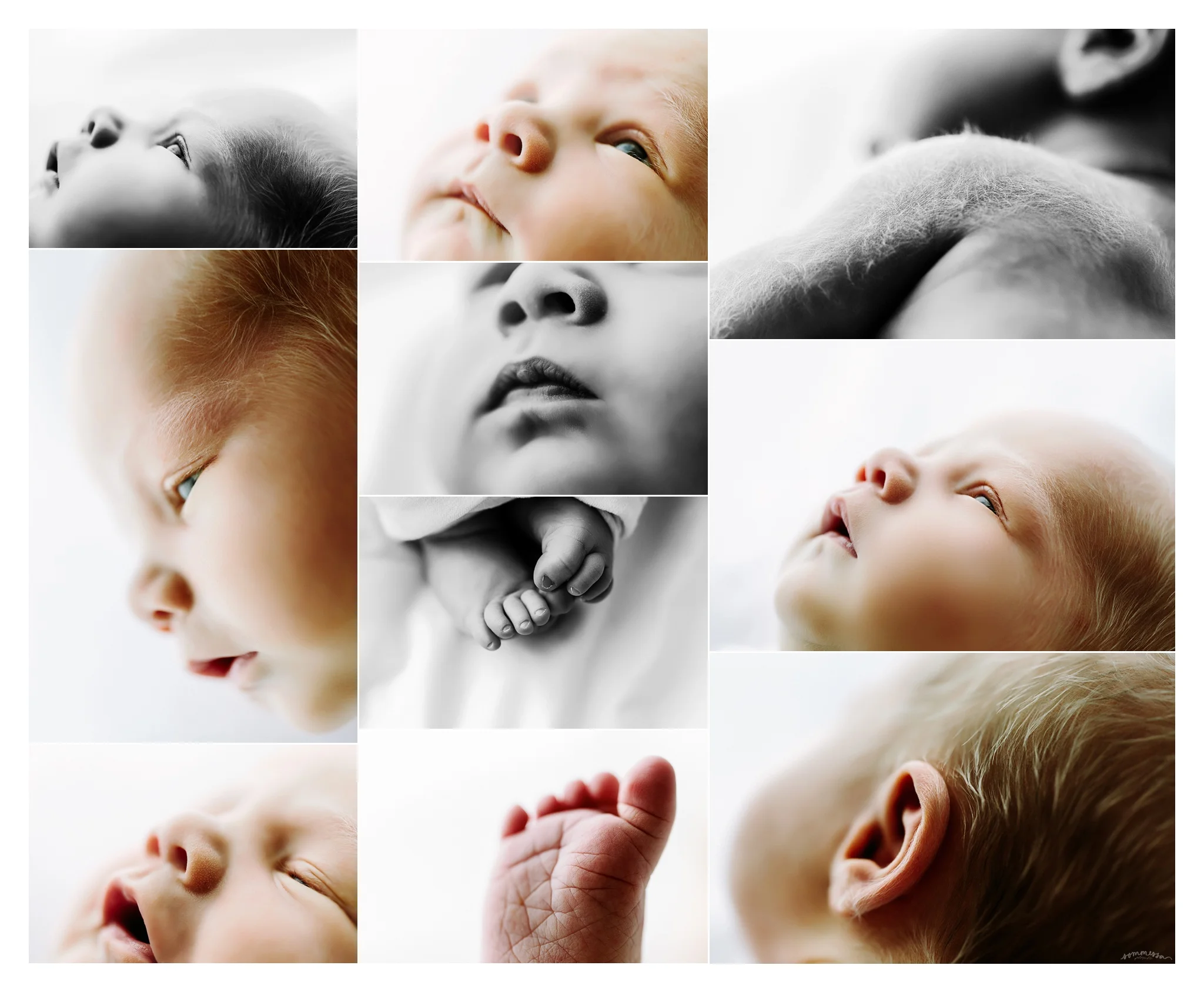 Newborn Photography Portland Oregon Sommessa_1559.jpg
