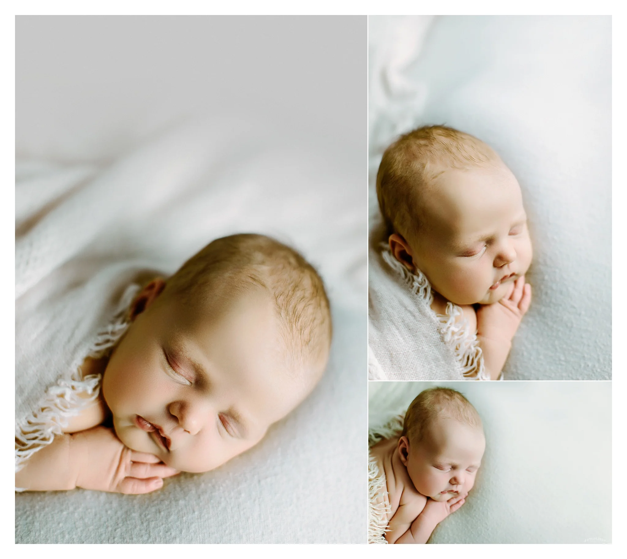 Baby Photography Portland Oregon Sommessa_1607.jpg