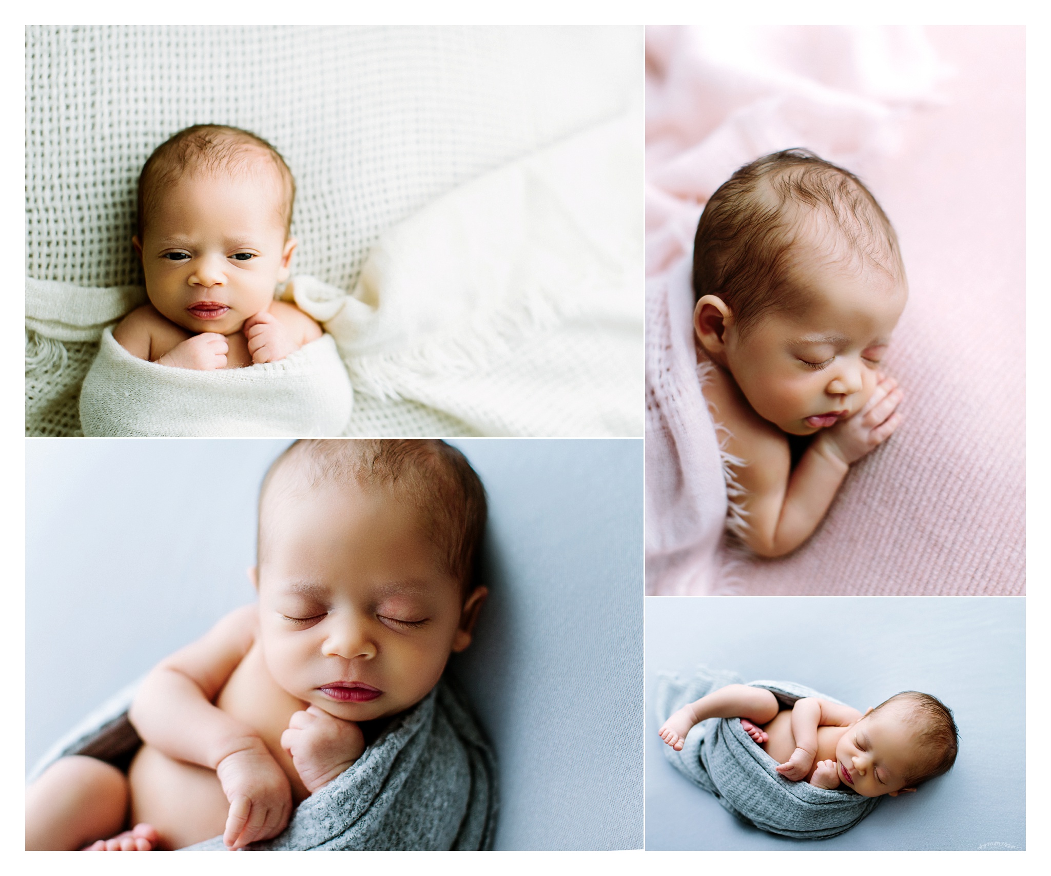 Newborn Photography Portland Oregon Sommessa_1626.jpg