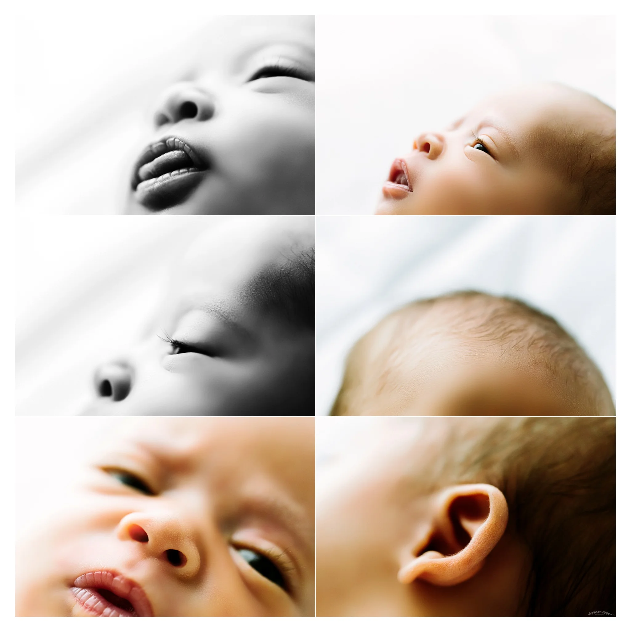 Newborn Photography Portland Oregon Sommessa_1619.jpg