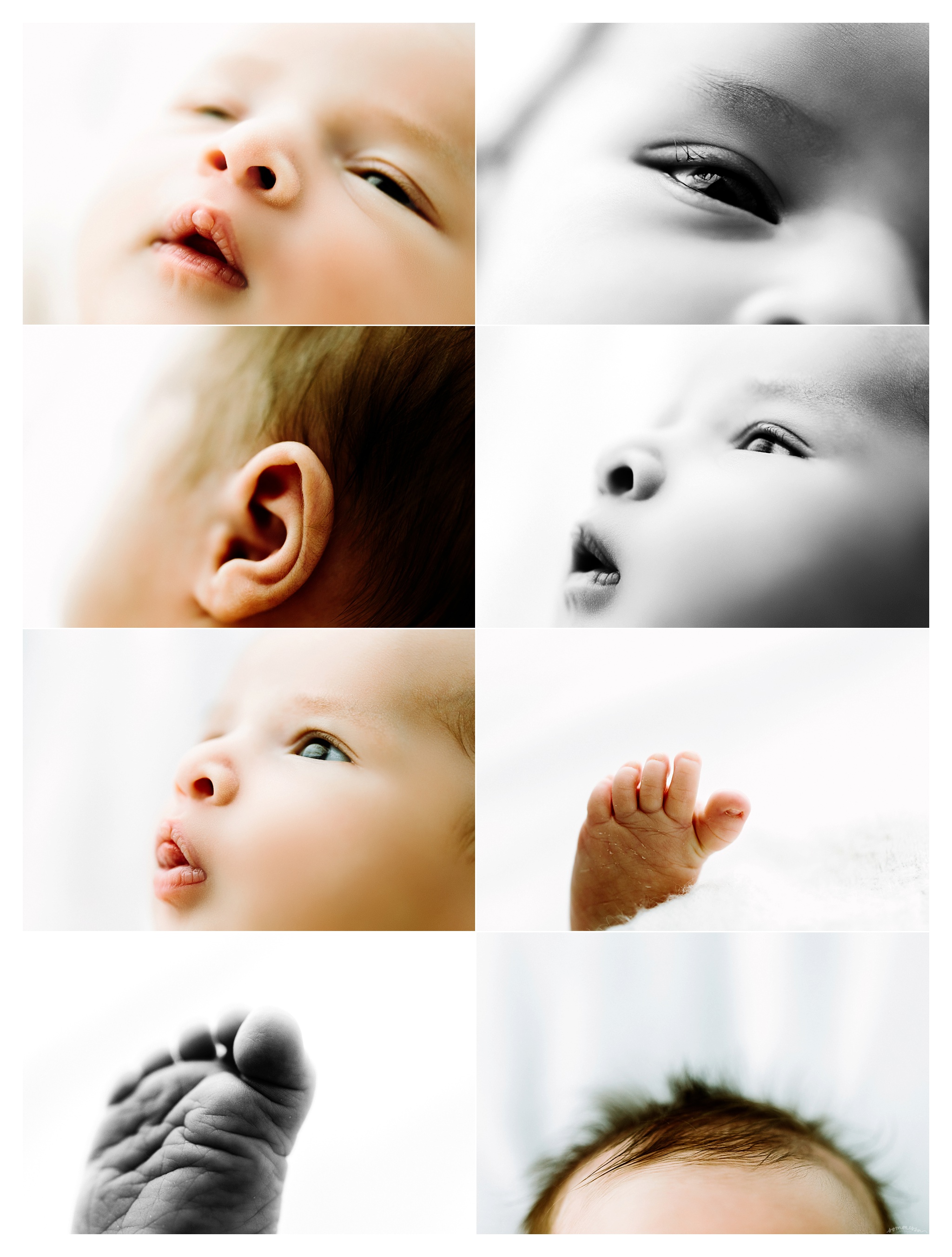 Newborn Baby Photography Portland Oregon Sommessa_1727.jpg