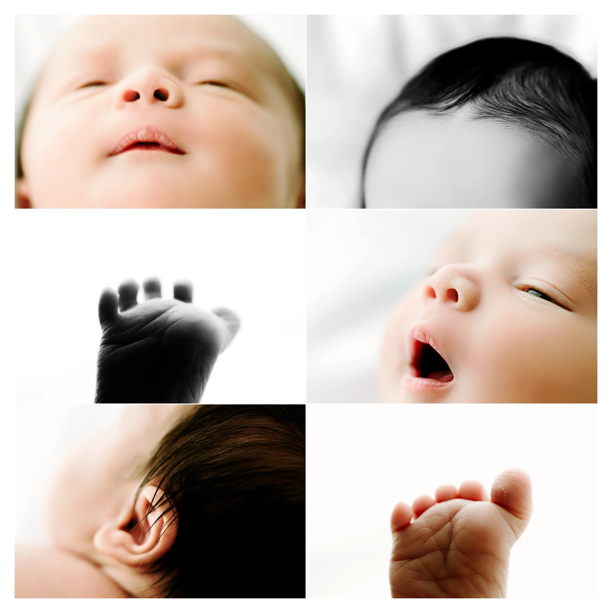 Newborn Baby Photography Portland Oregon Sommessa_1742.jpg